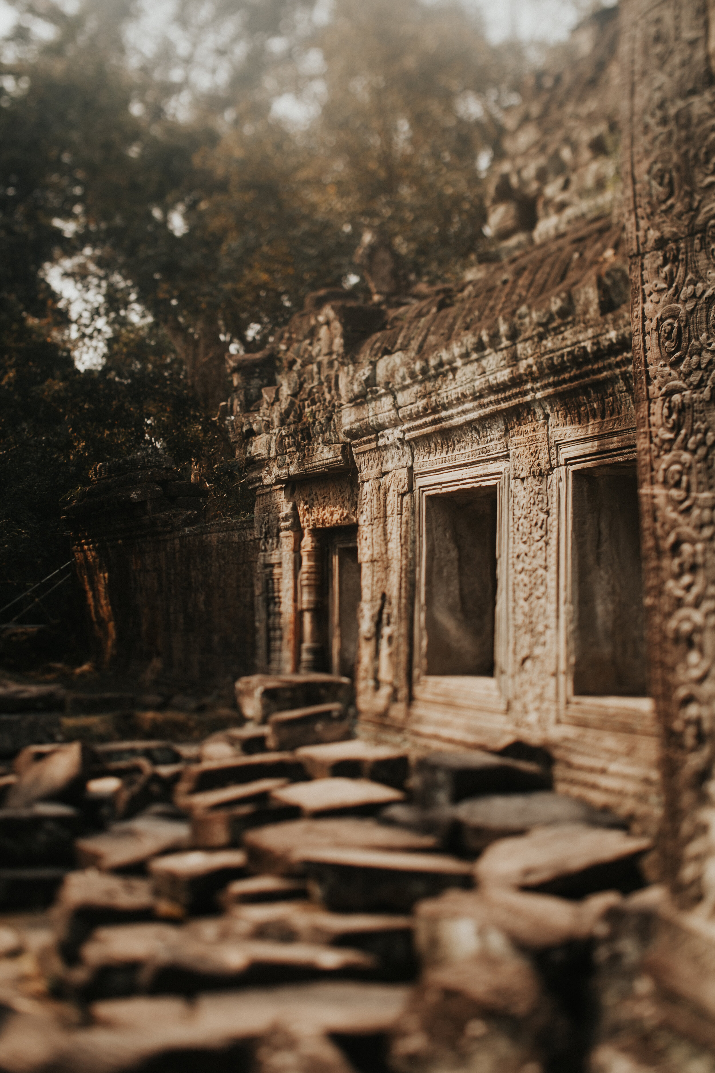 Cambodia: Temple Steps