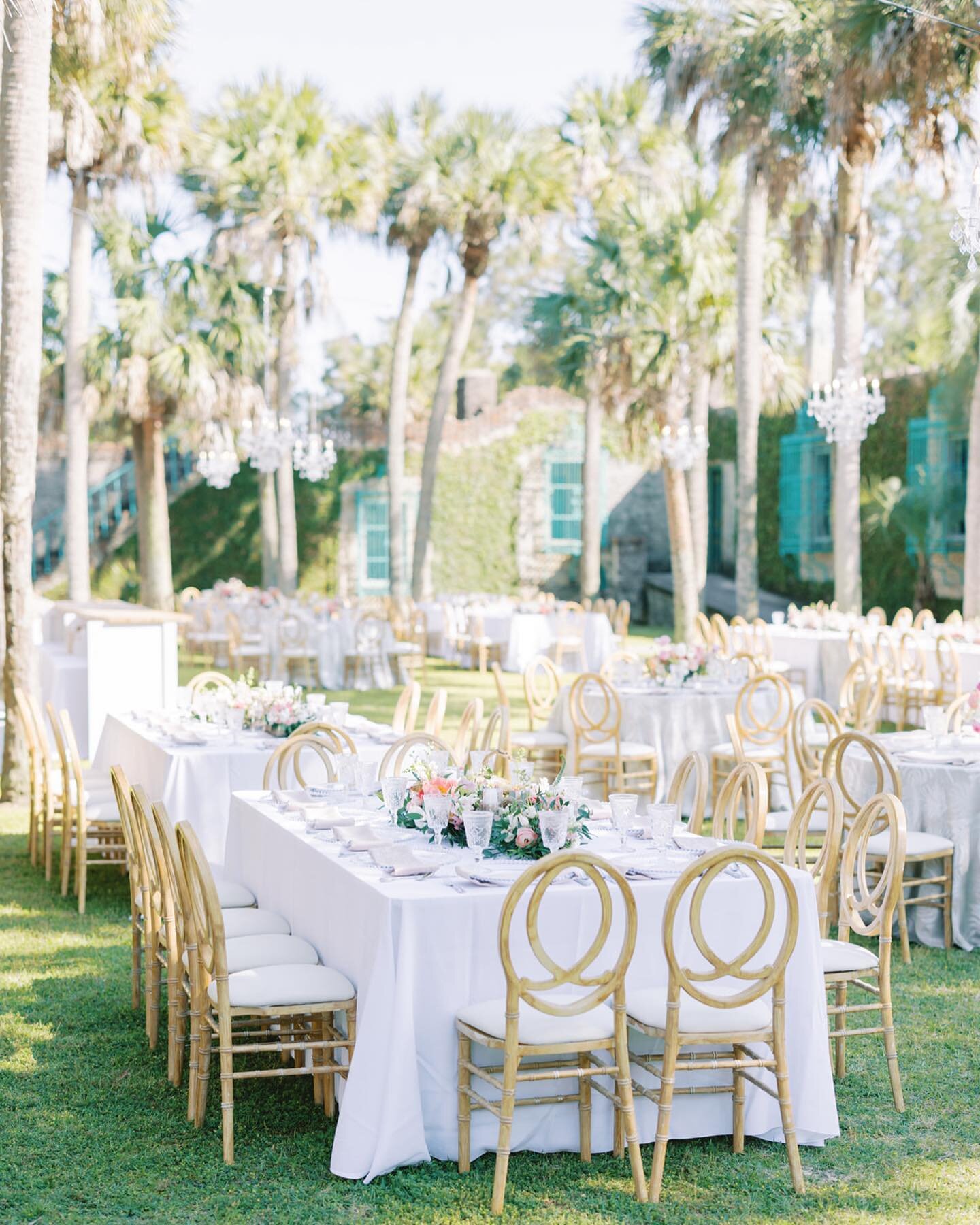 A beautiful sunny reception, in an old castle, surrounds by palms&hellip;YES PLEASE 🌴🌴🌴

📸: @jeffandmollyphotography 
Planning &amp; Design: @steelemagnoliaevents 
White Birch Pieces:
&lsquo;Eden&rsquo; Chairs
&lsquo;Eden&rsquo; Bars