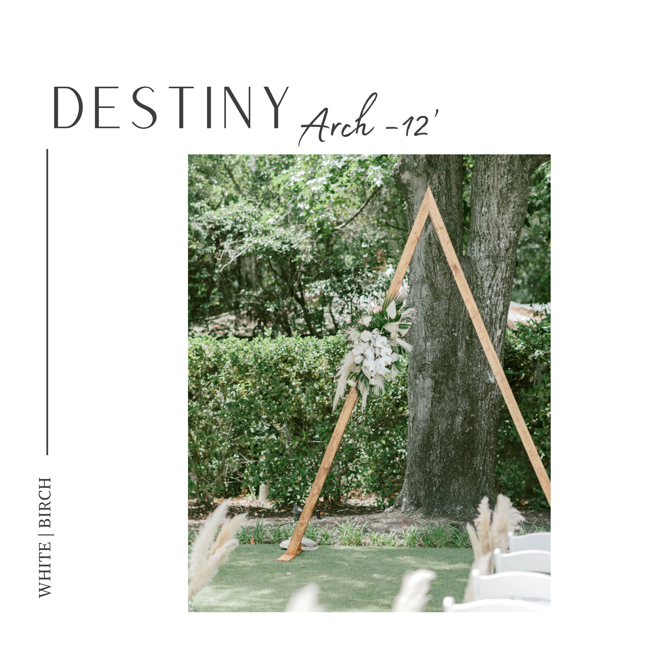 Arches & Arbors | Enhance Your Event — Rent Today — White Birch Rentals