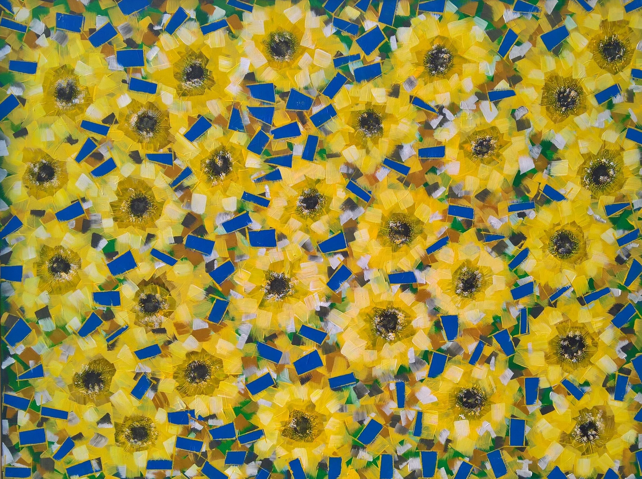 Spring Flowers from seed bombs