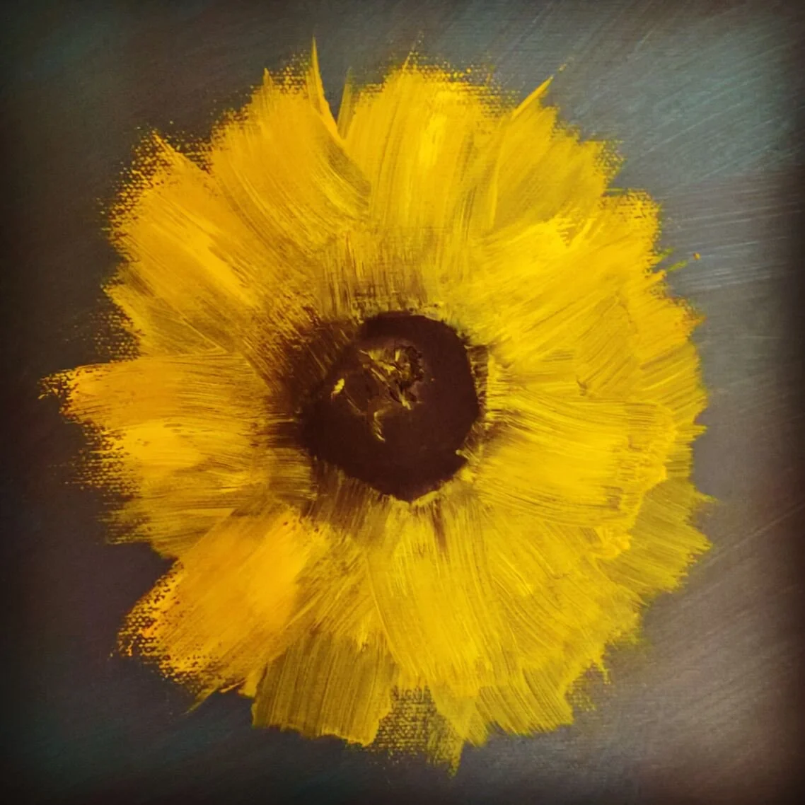 Sunflower Splash