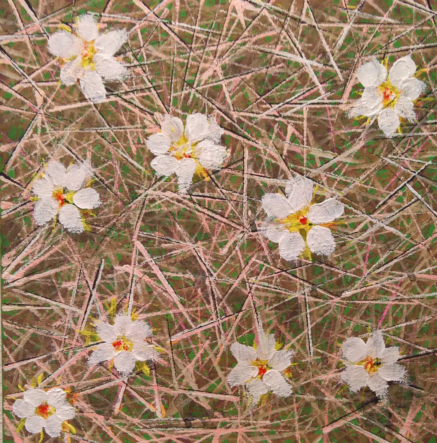 White flowers in grass