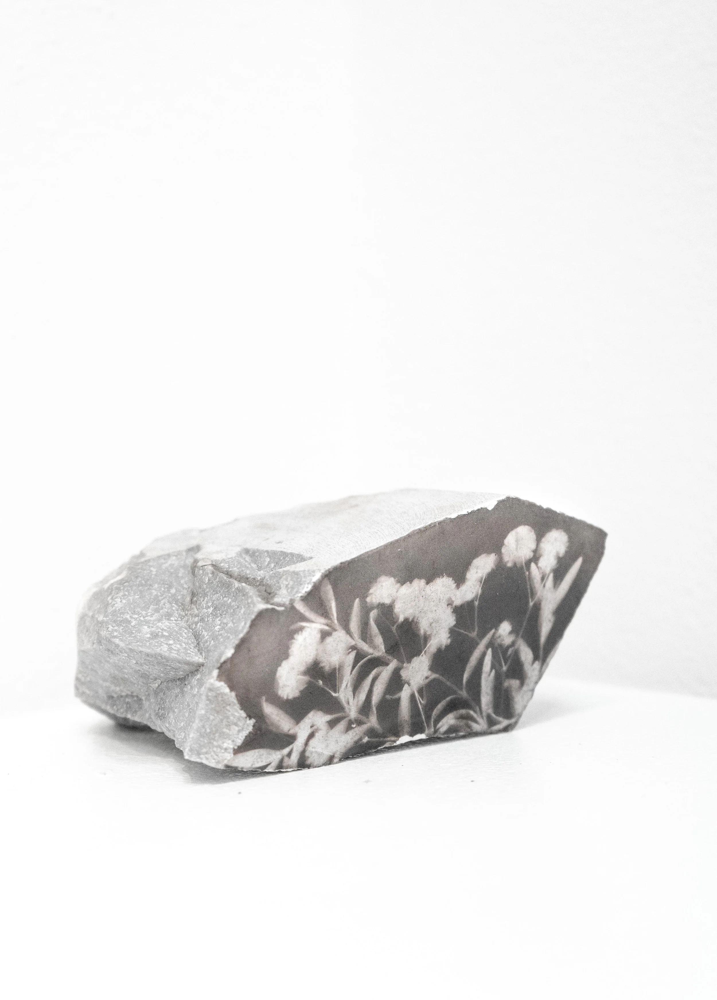  baby’s breath &amp; rosemary salt print on marble 