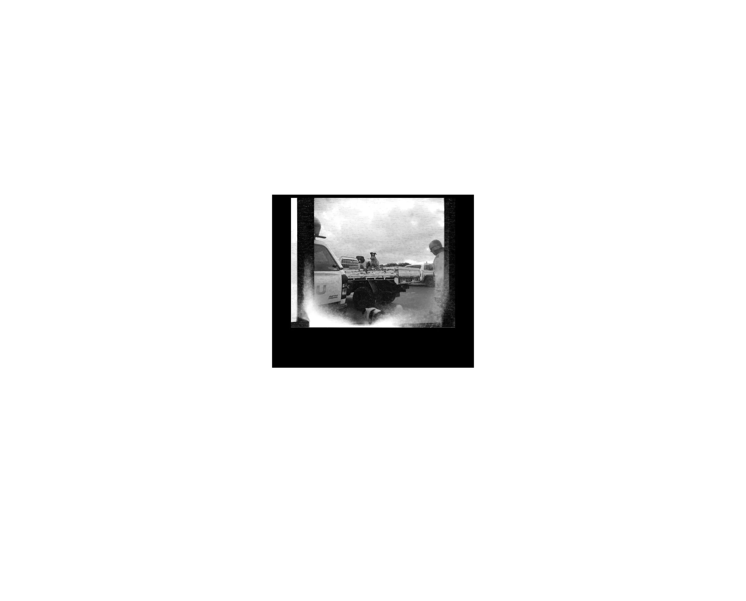 0005_###000034440005-2 copy.jpg