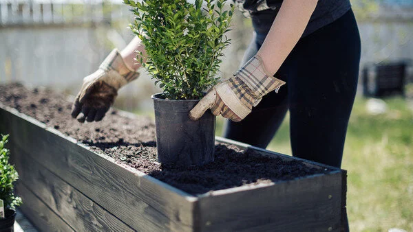 DIY: Raised Planter Bed