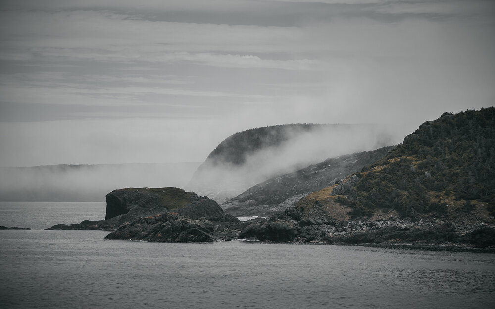  Rugged east coast of Newfoundland. 