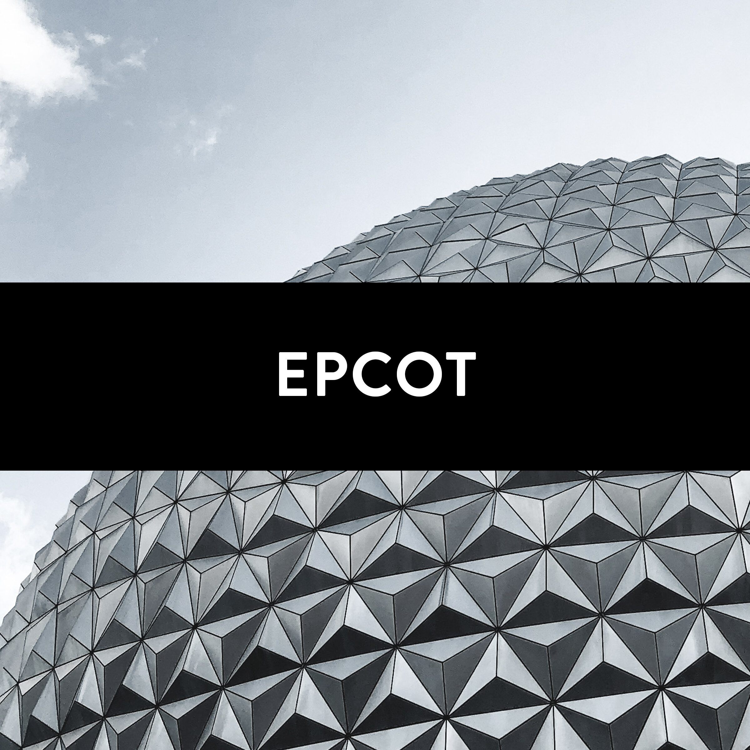 BCover - EPCOT.jpg