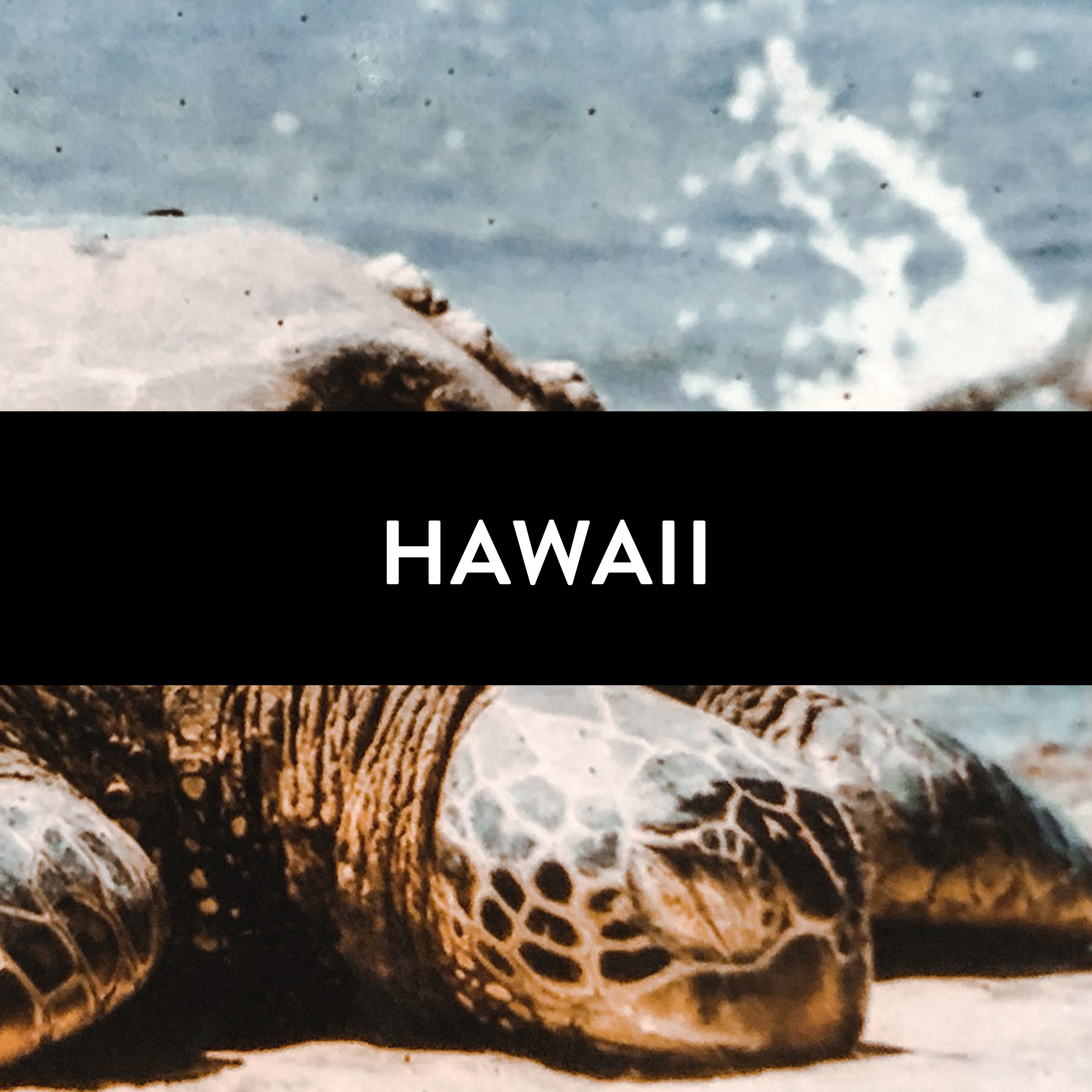 Cover - Hawaii.jpg