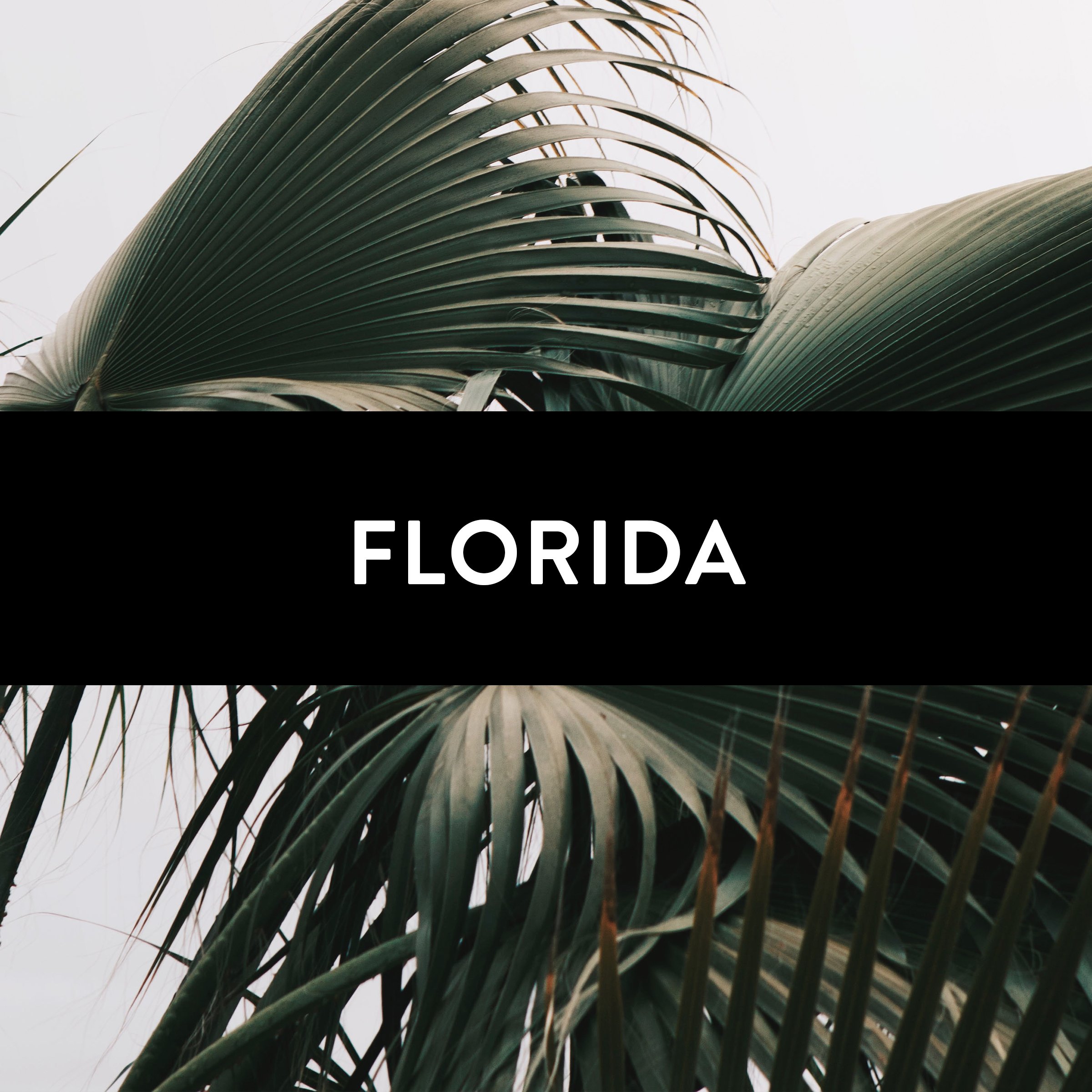 Cover - Florida.jpg