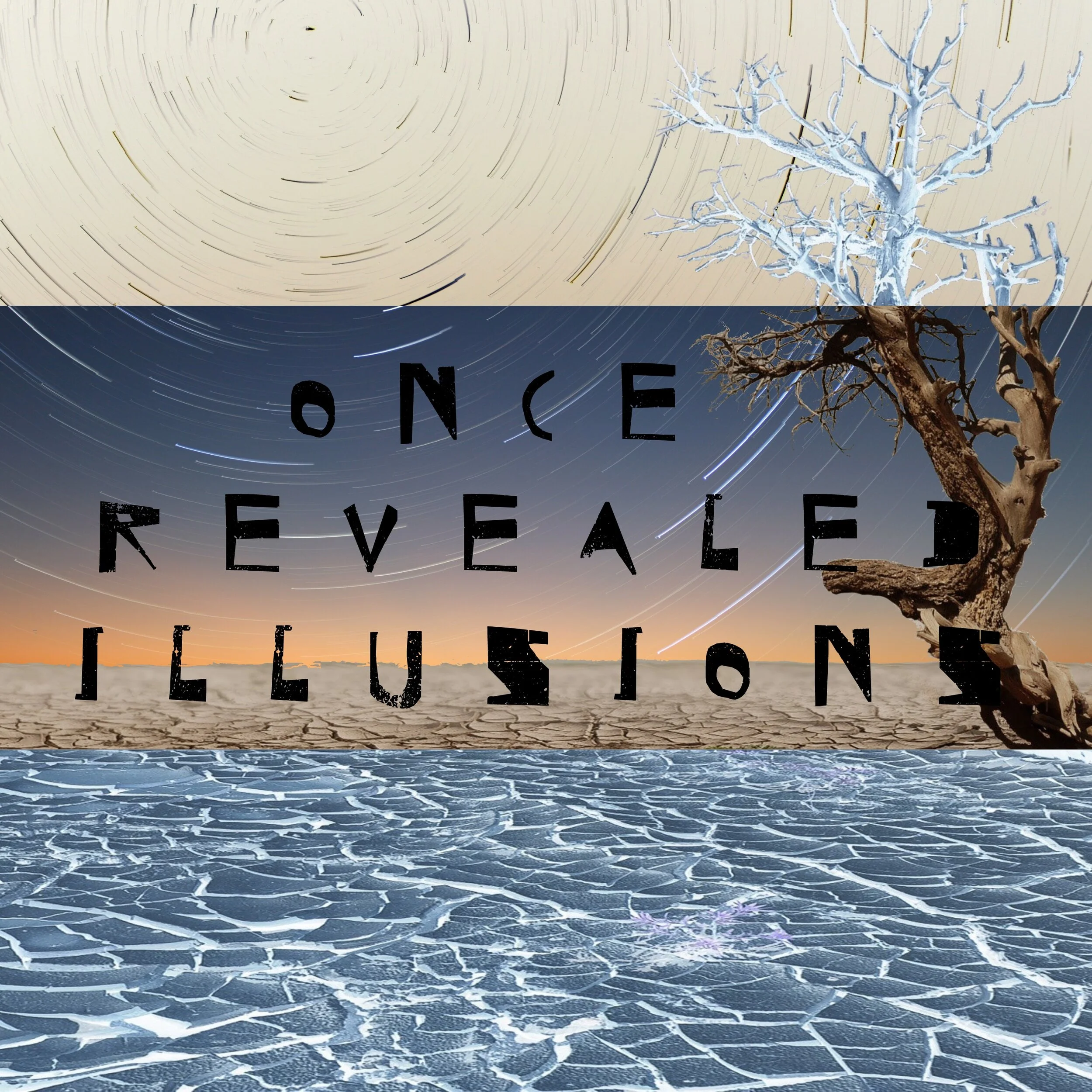 illusions cover.jpg