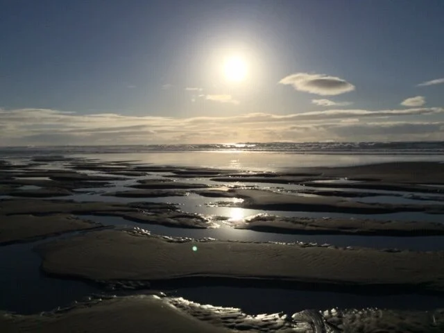 This 5-Year-old Paid Off Lunch Debts for 123 Classmates Simply By Selling Cookies and Hot Cocoa