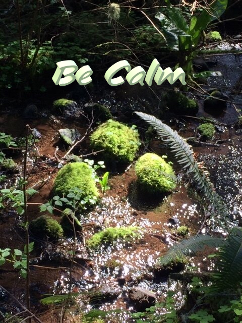 Be Calm Poster.png