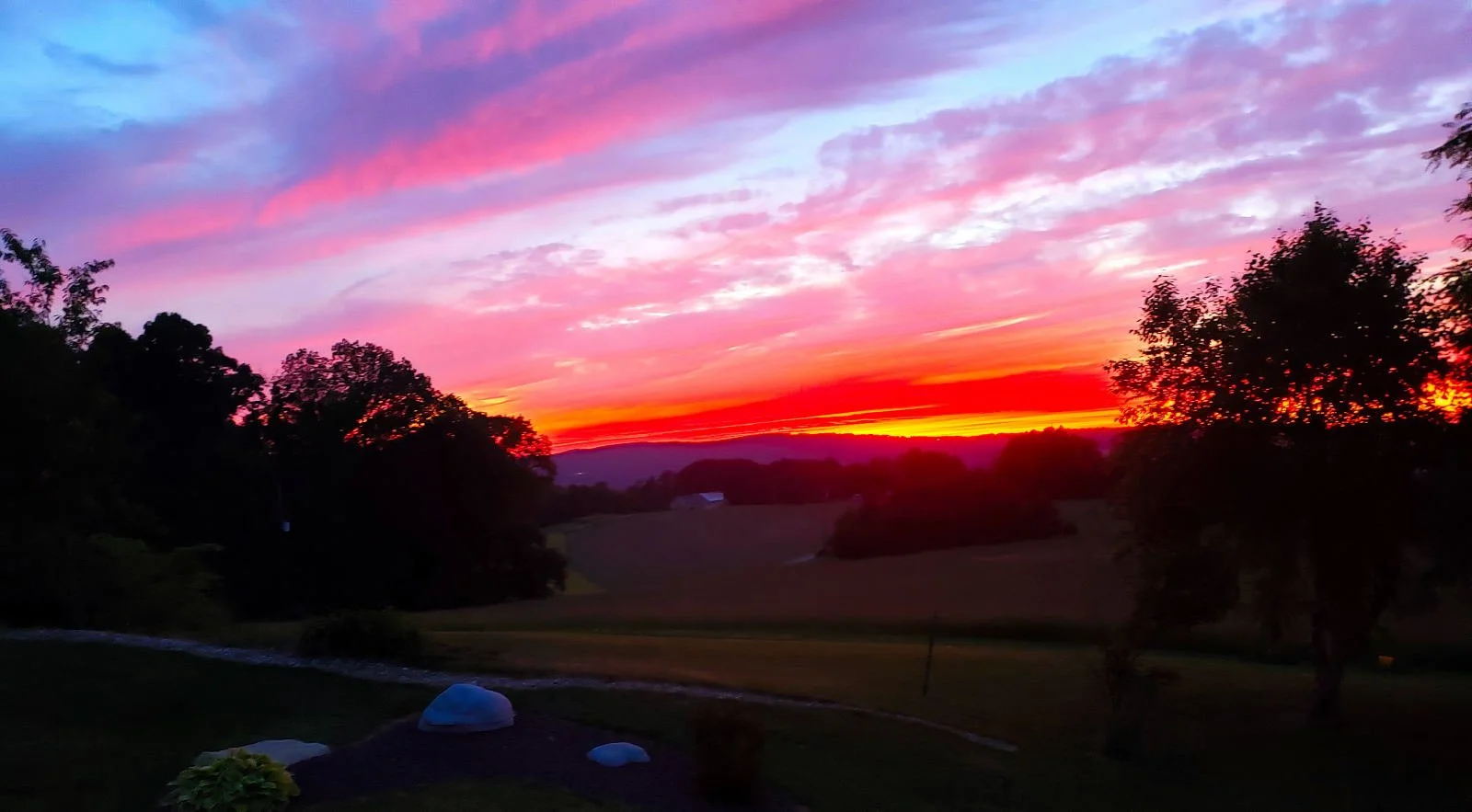 20190607_2055570001.JPG