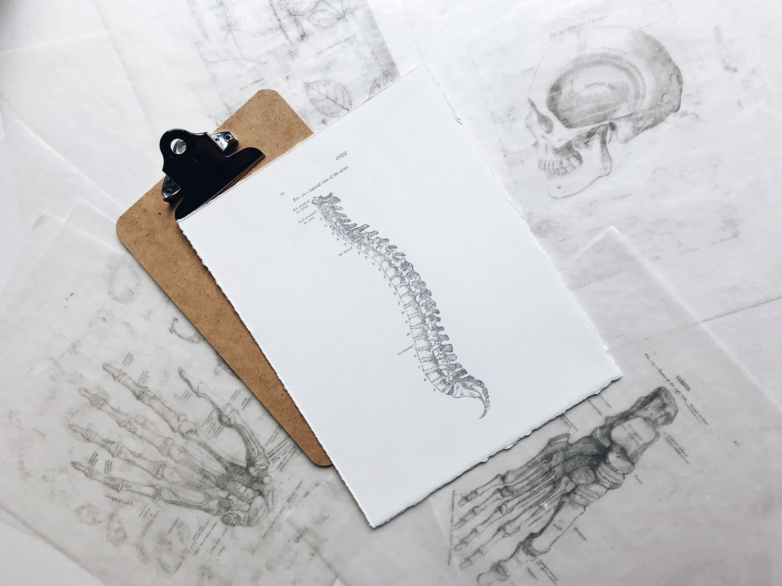 Musculoskeletal Examinations
