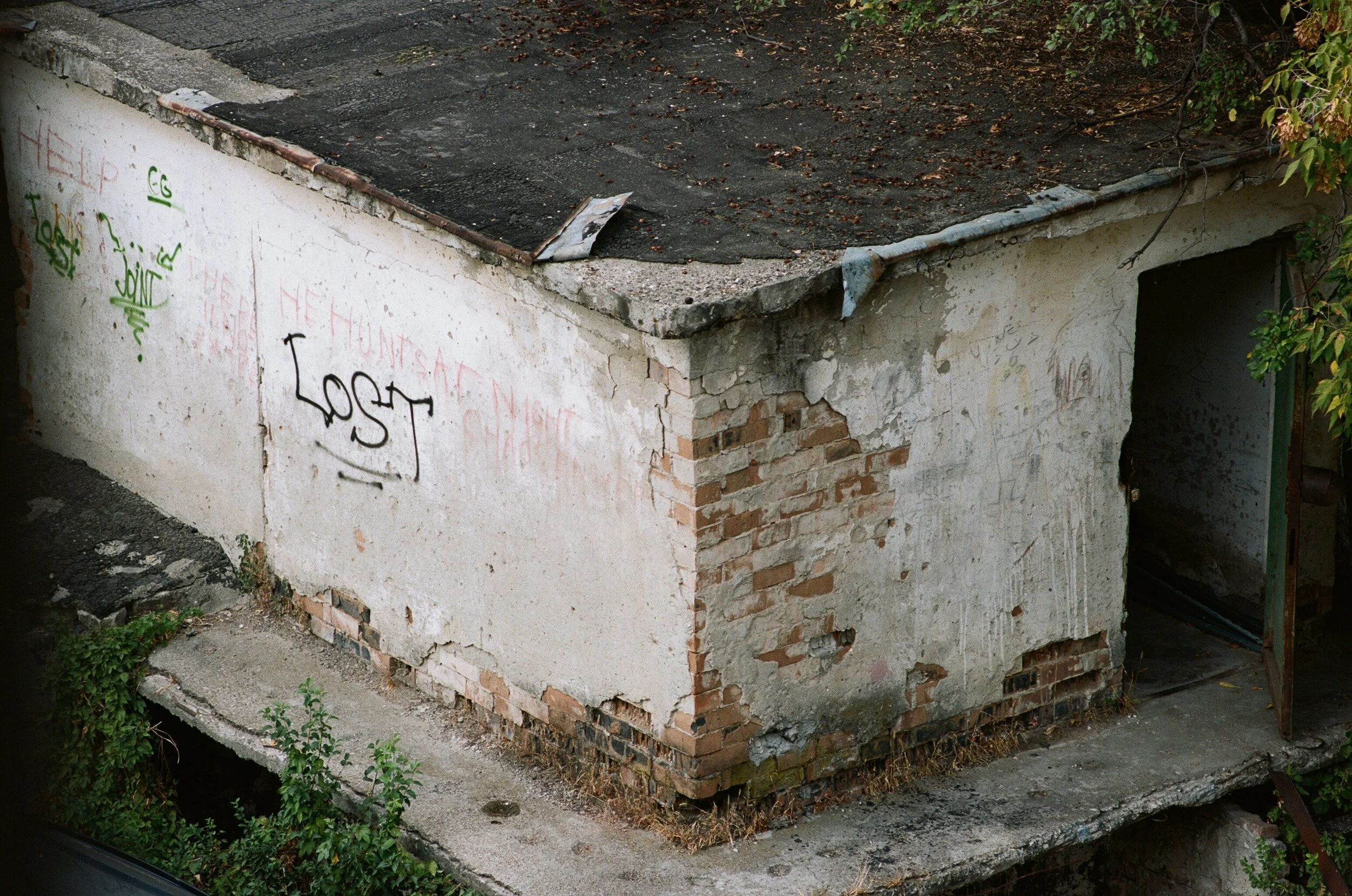 000082960026.jpg