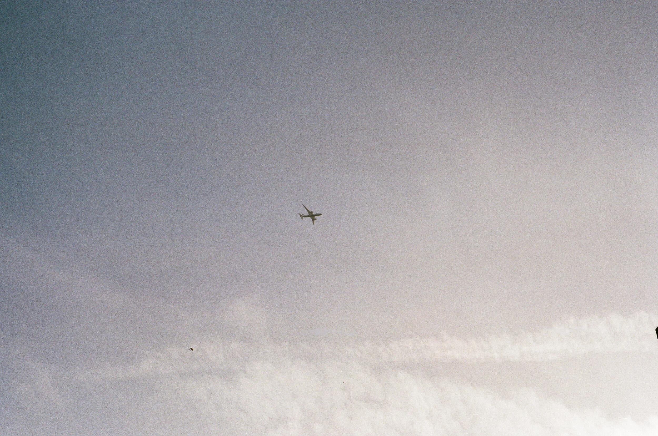 43040028.jpg