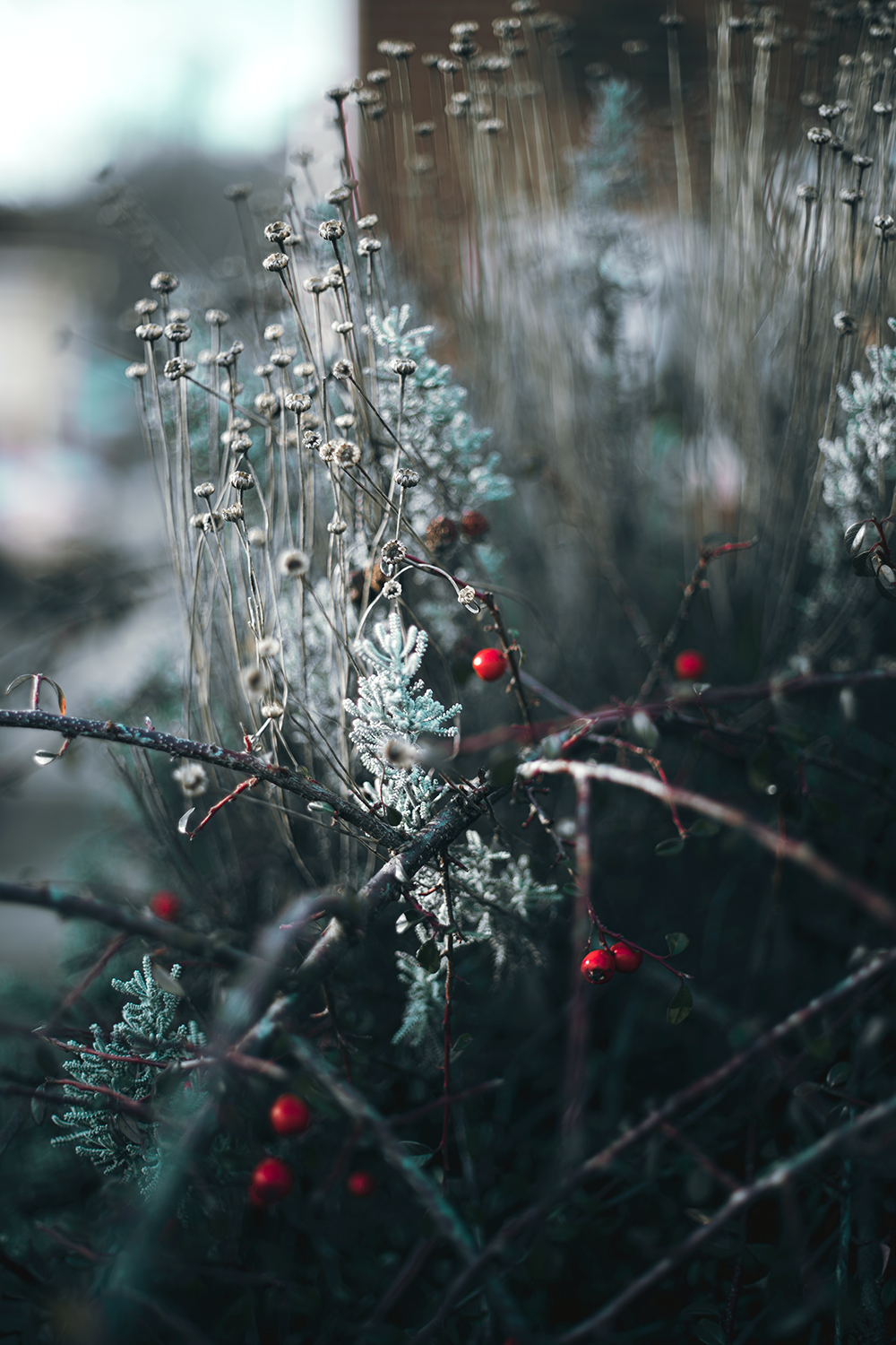 DSC02378@0,25x.png