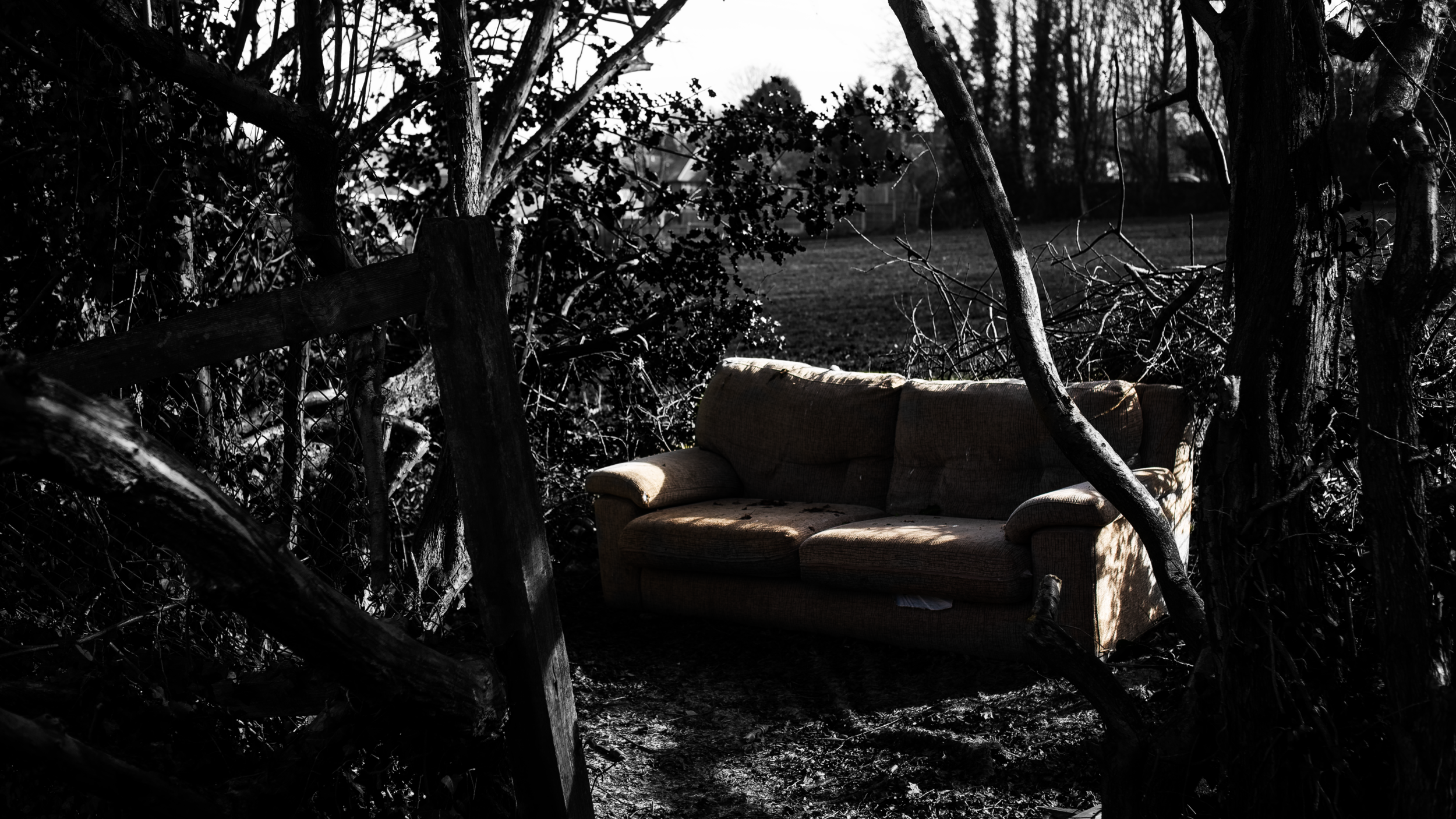 DSC04765.png