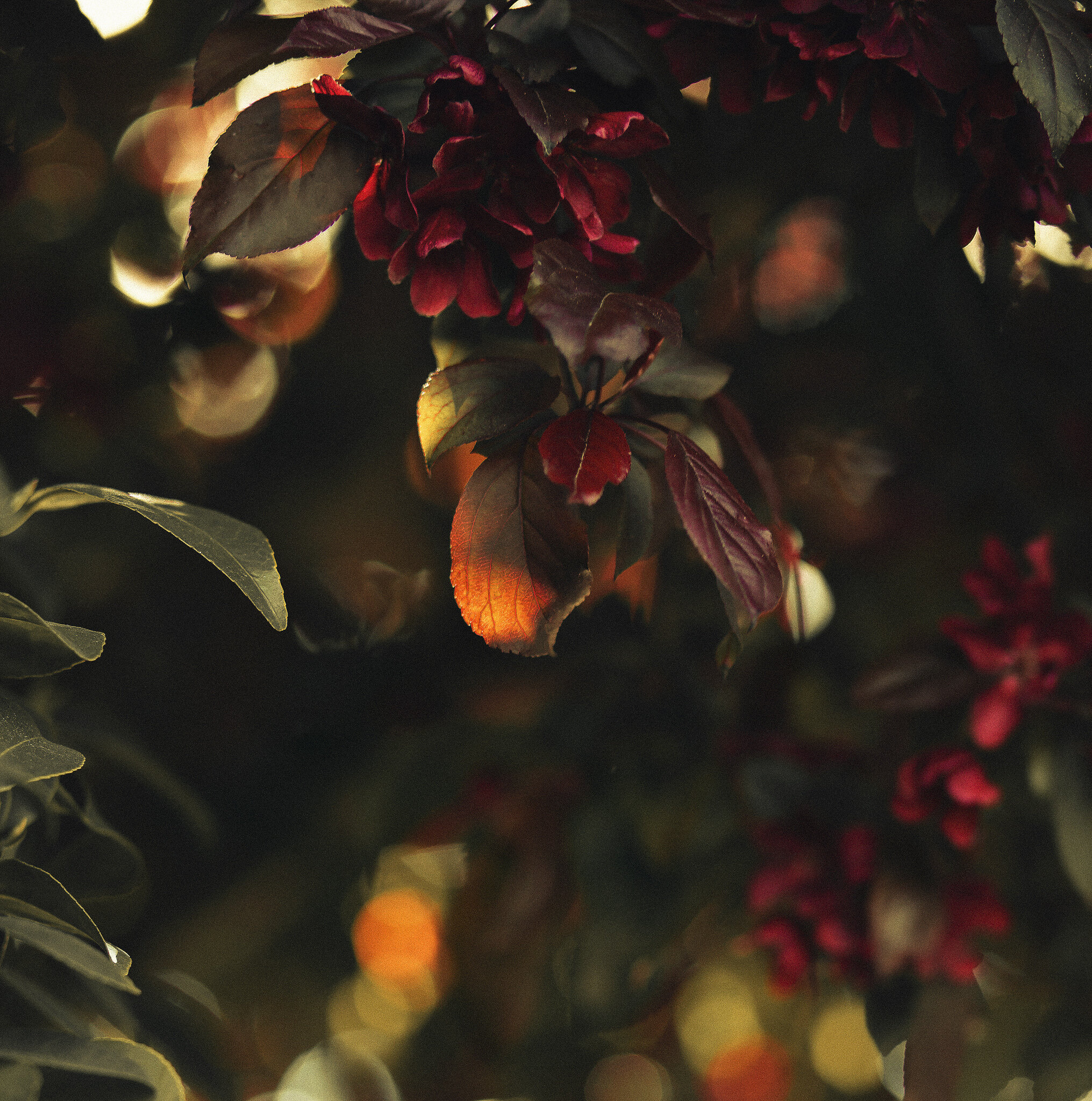 soft touch v2 w_ grain.jpg