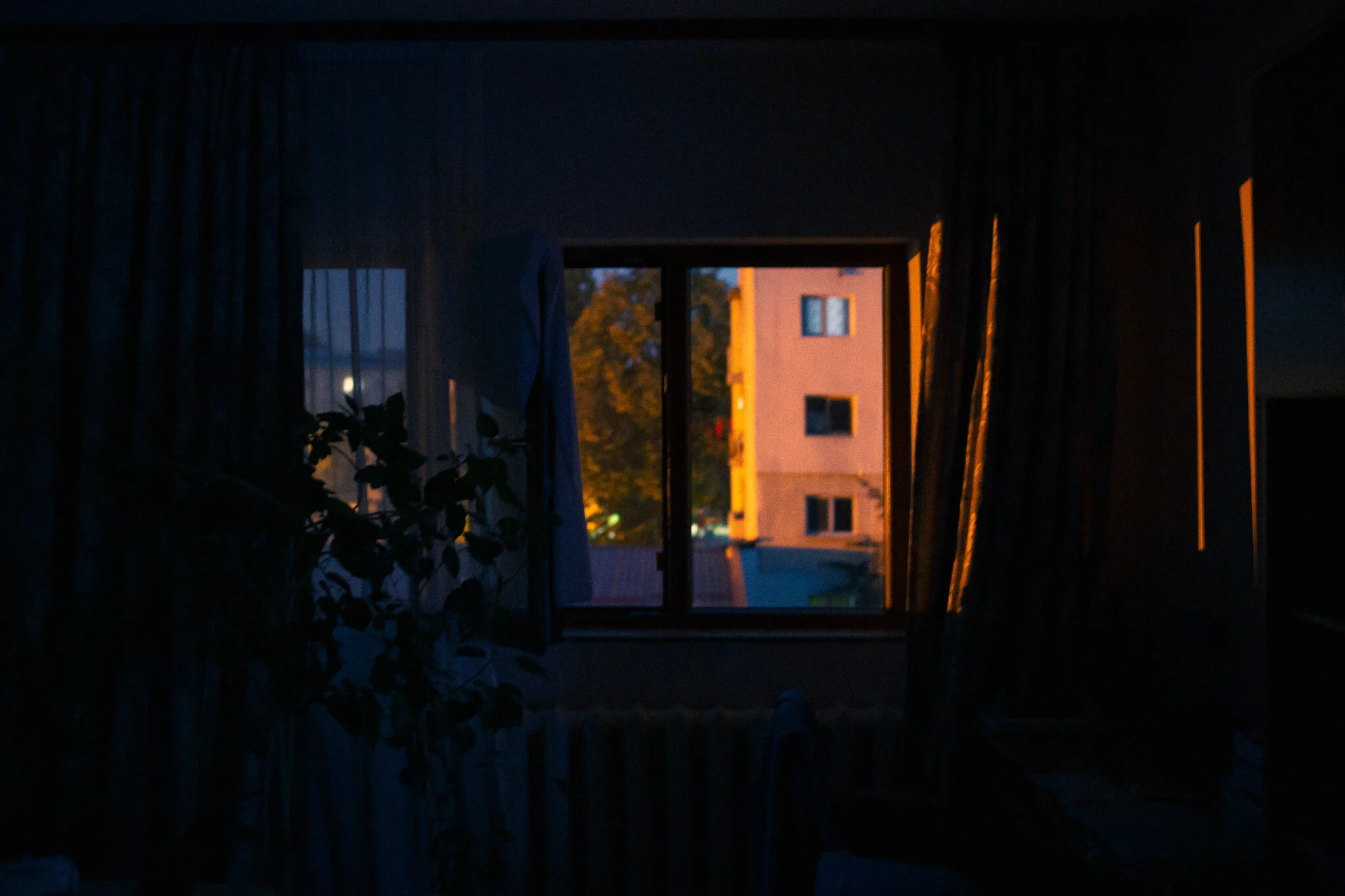 3C2A9086.jpg