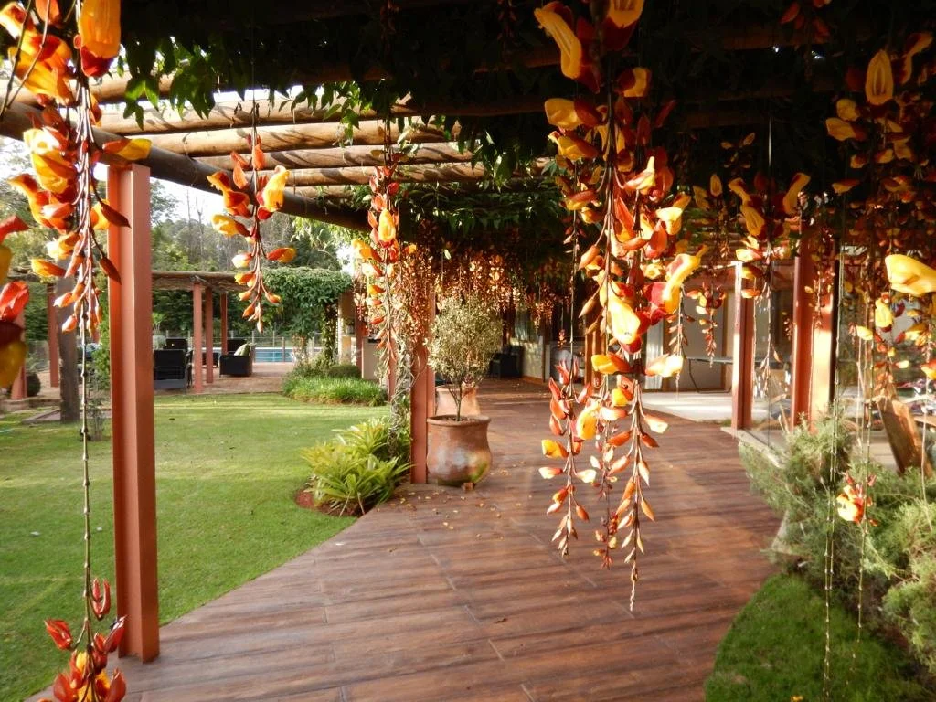 WhatsApp Image 2019-11-28 at 21.56.09 (11).jpeg