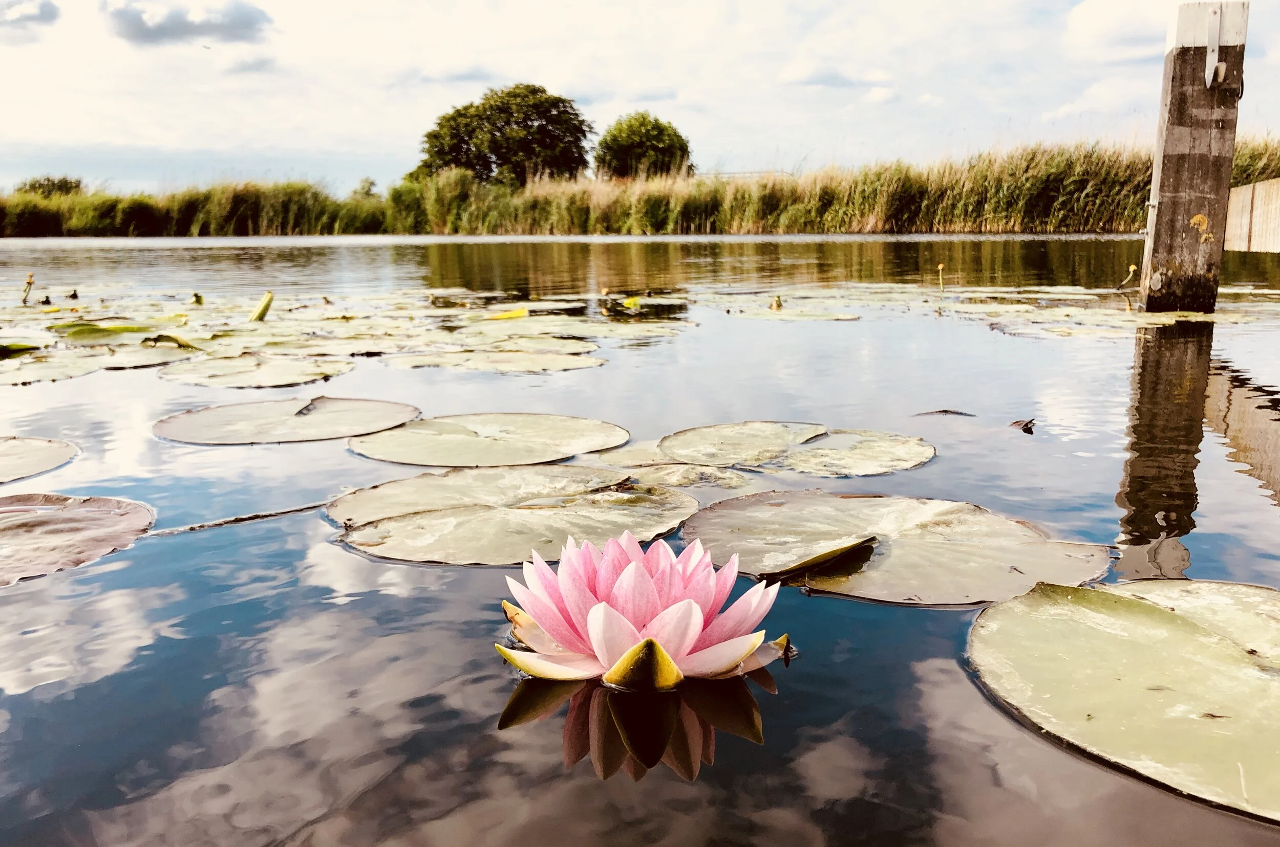 Schlaf in Zeiten von Corona