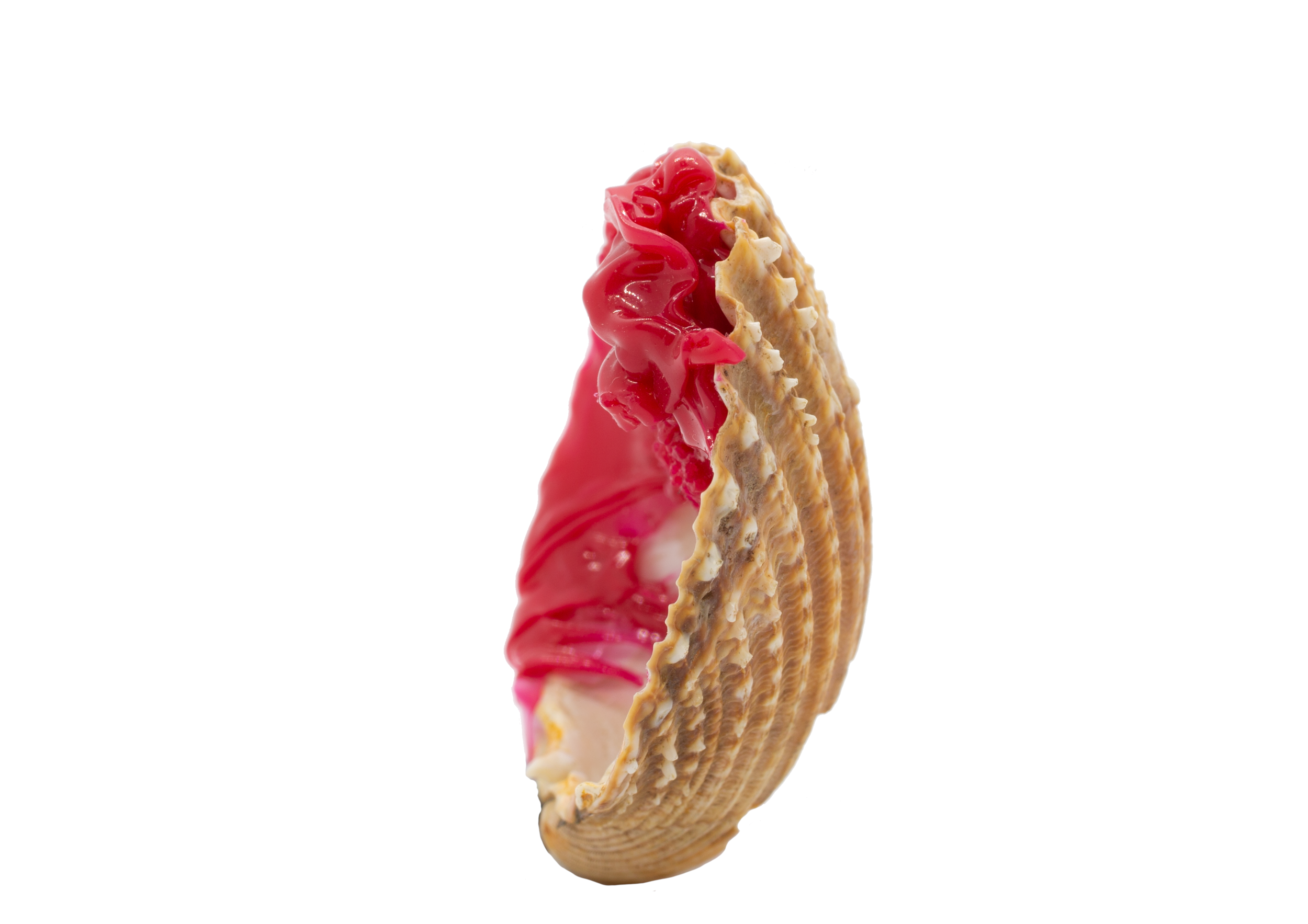 hot_pink_2.png