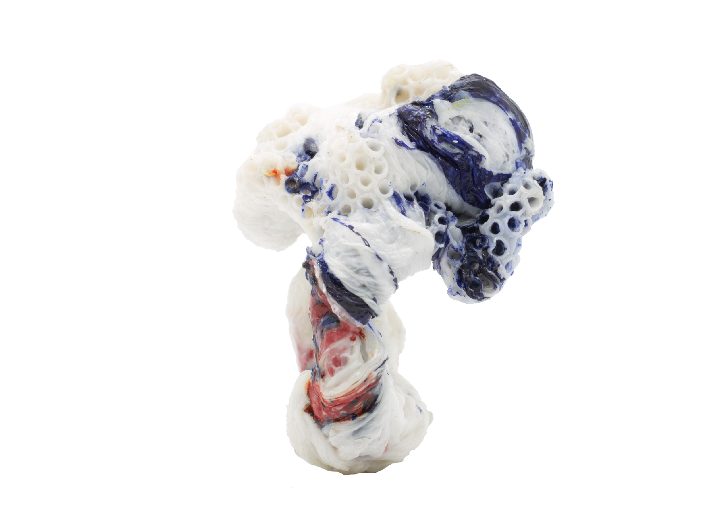 white_blue_2.png