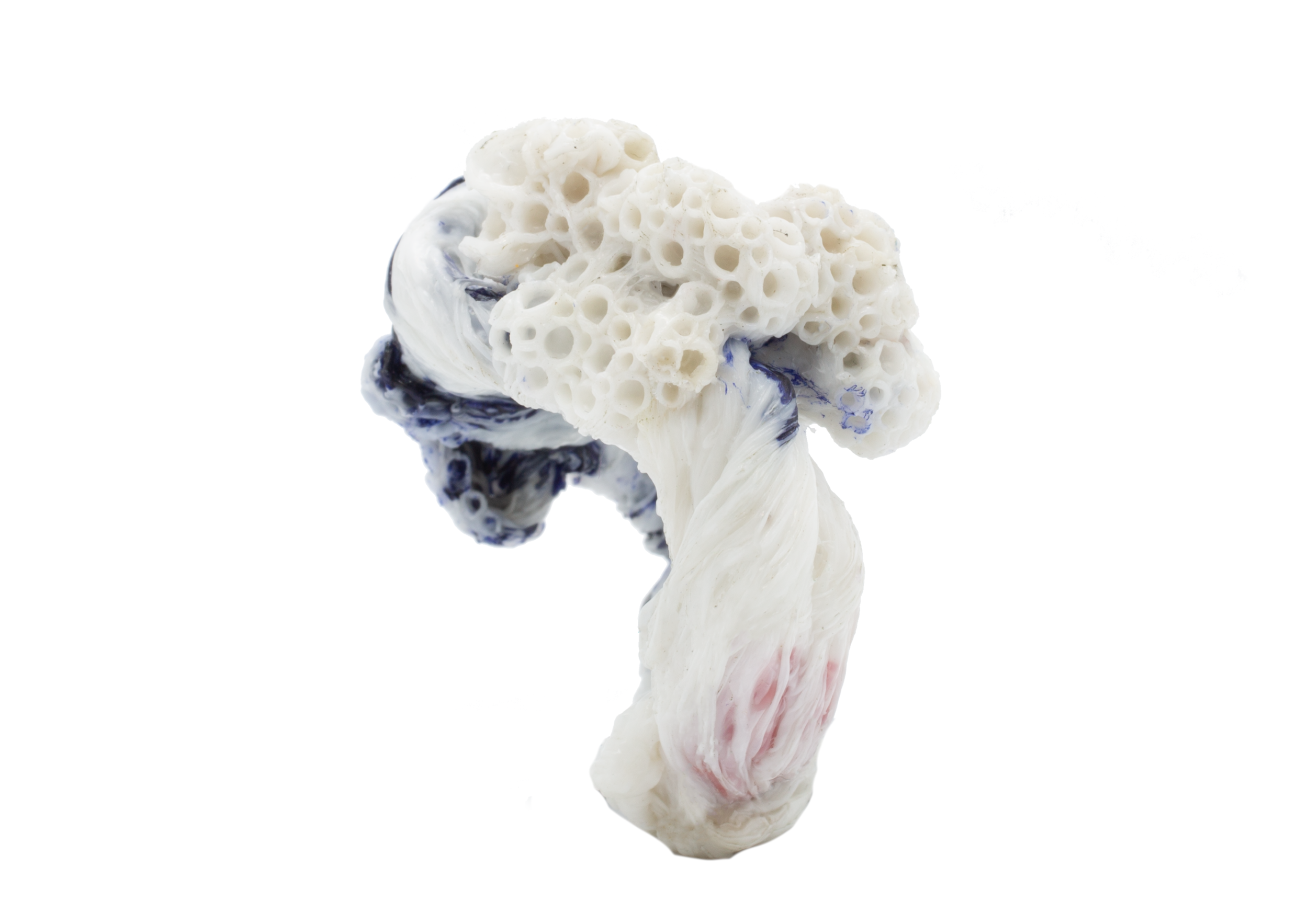 white_blue_4.png