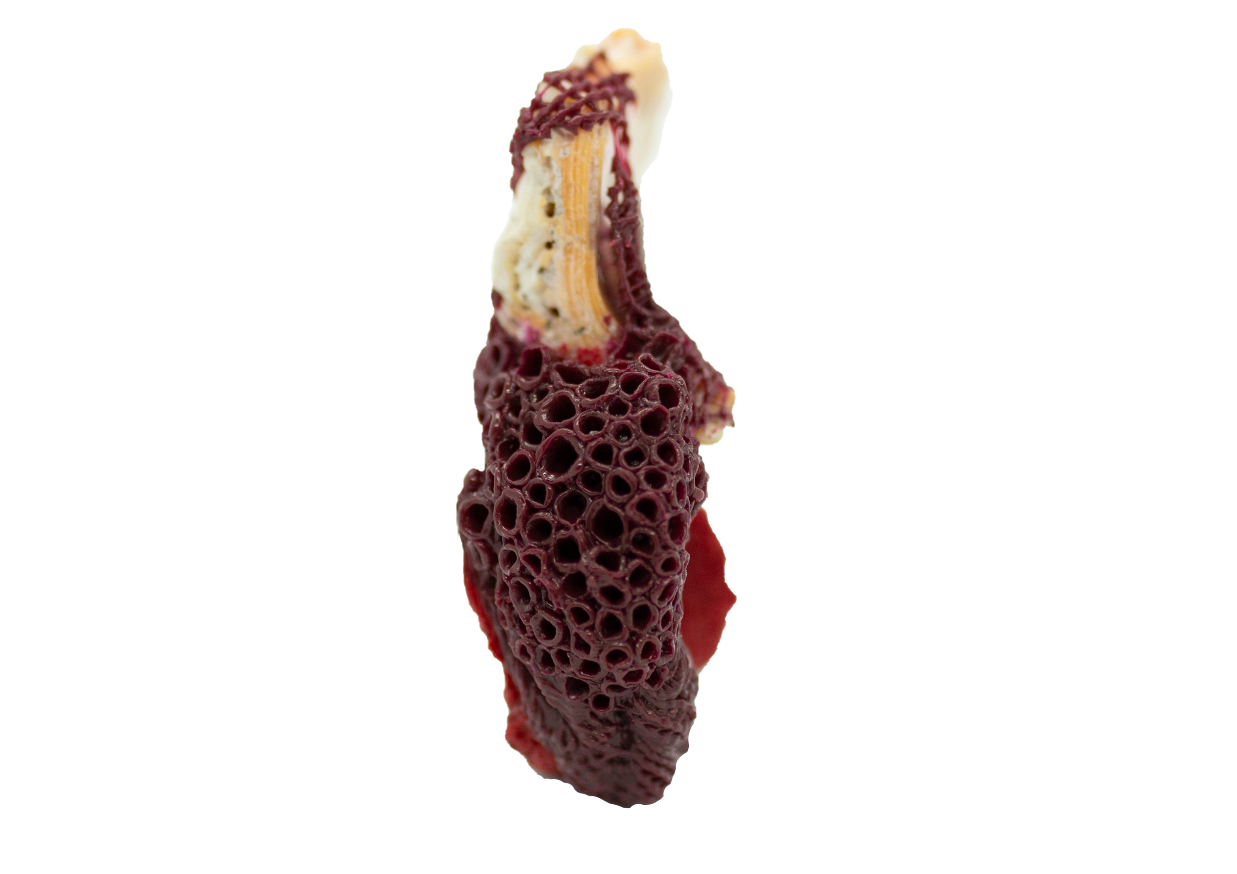 burgundy_red_4.png