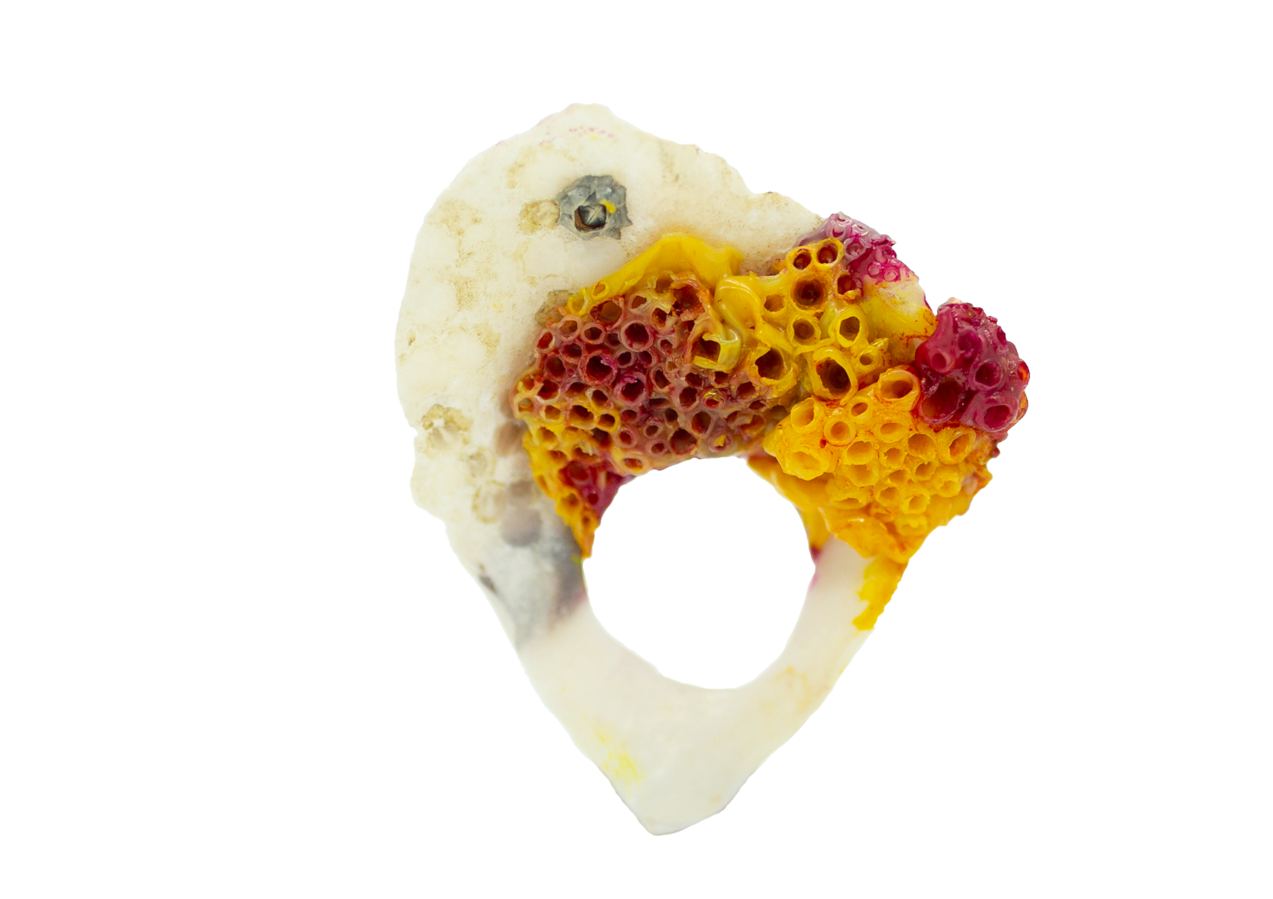 fuchsia_yellow_3.png