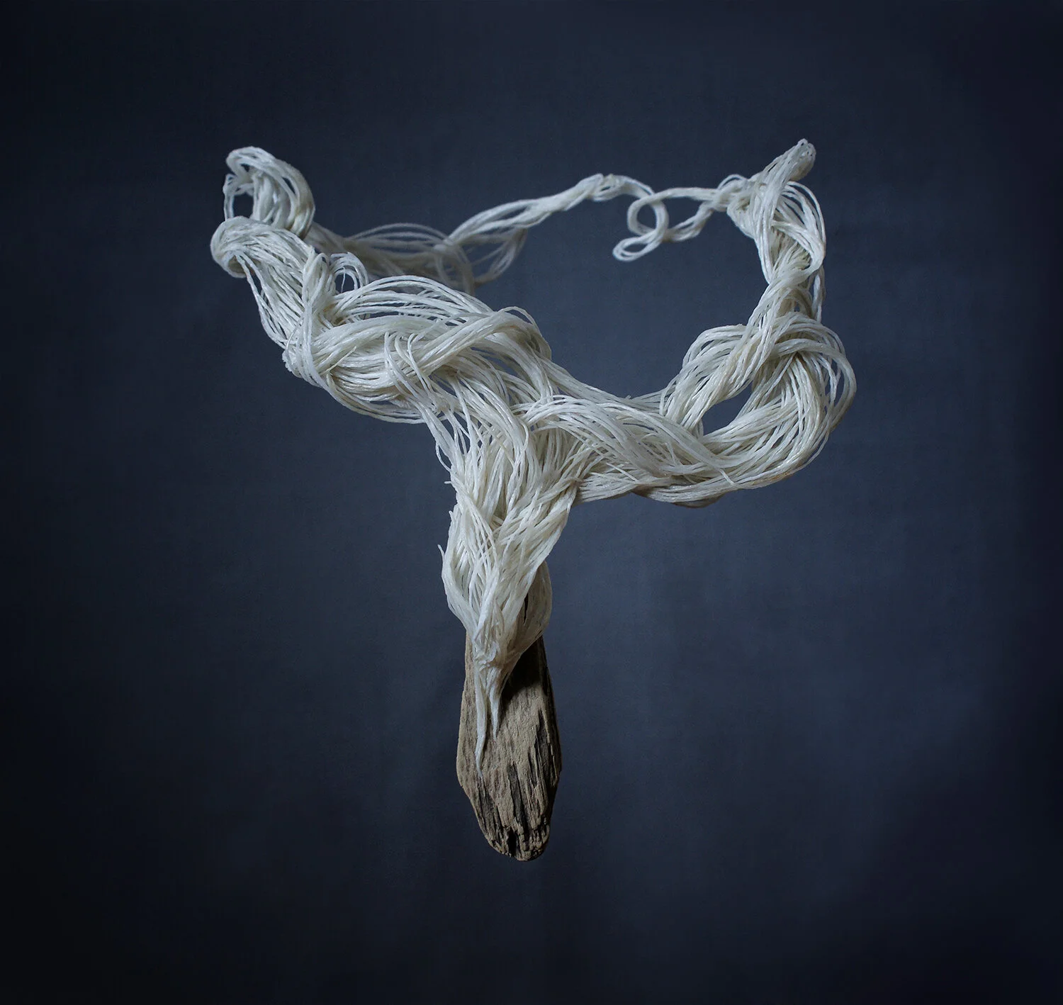 The Blog Interviews feat. Wiebke Pandikow