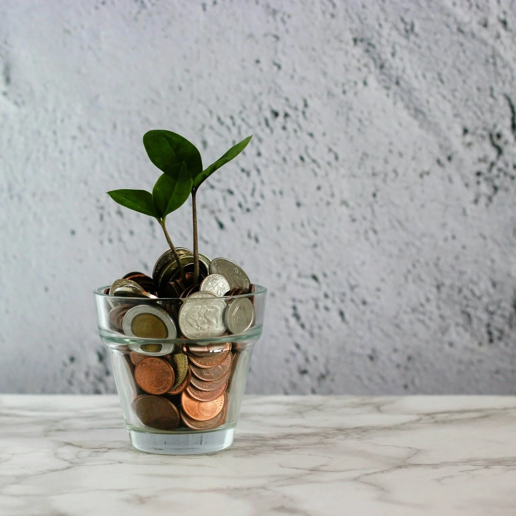 SOLVING THE OFFSHORE INVESTMENT CONUNDRUM