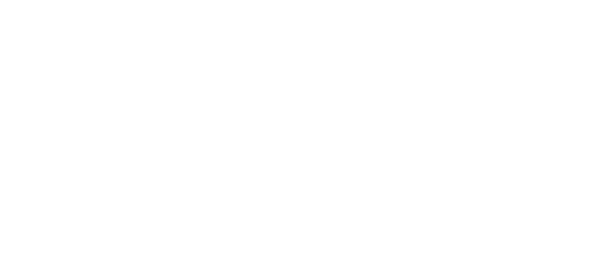 Houston Insurance Logo
