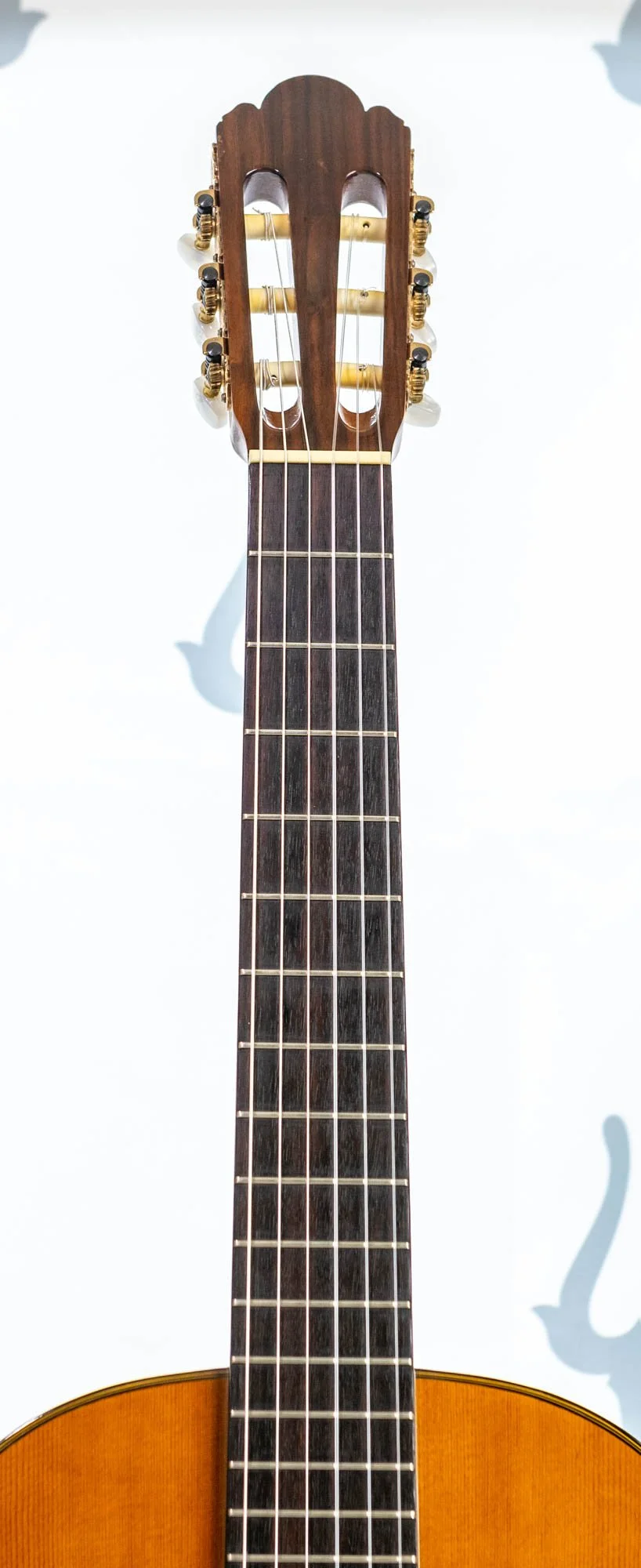 505-lr-3.jpg