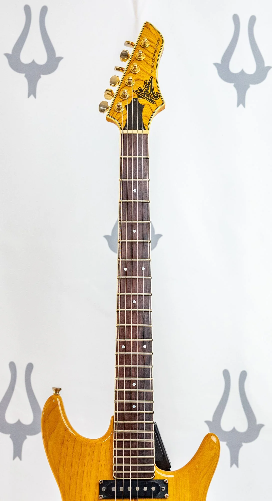 anea tan ssh lr-2.jpg