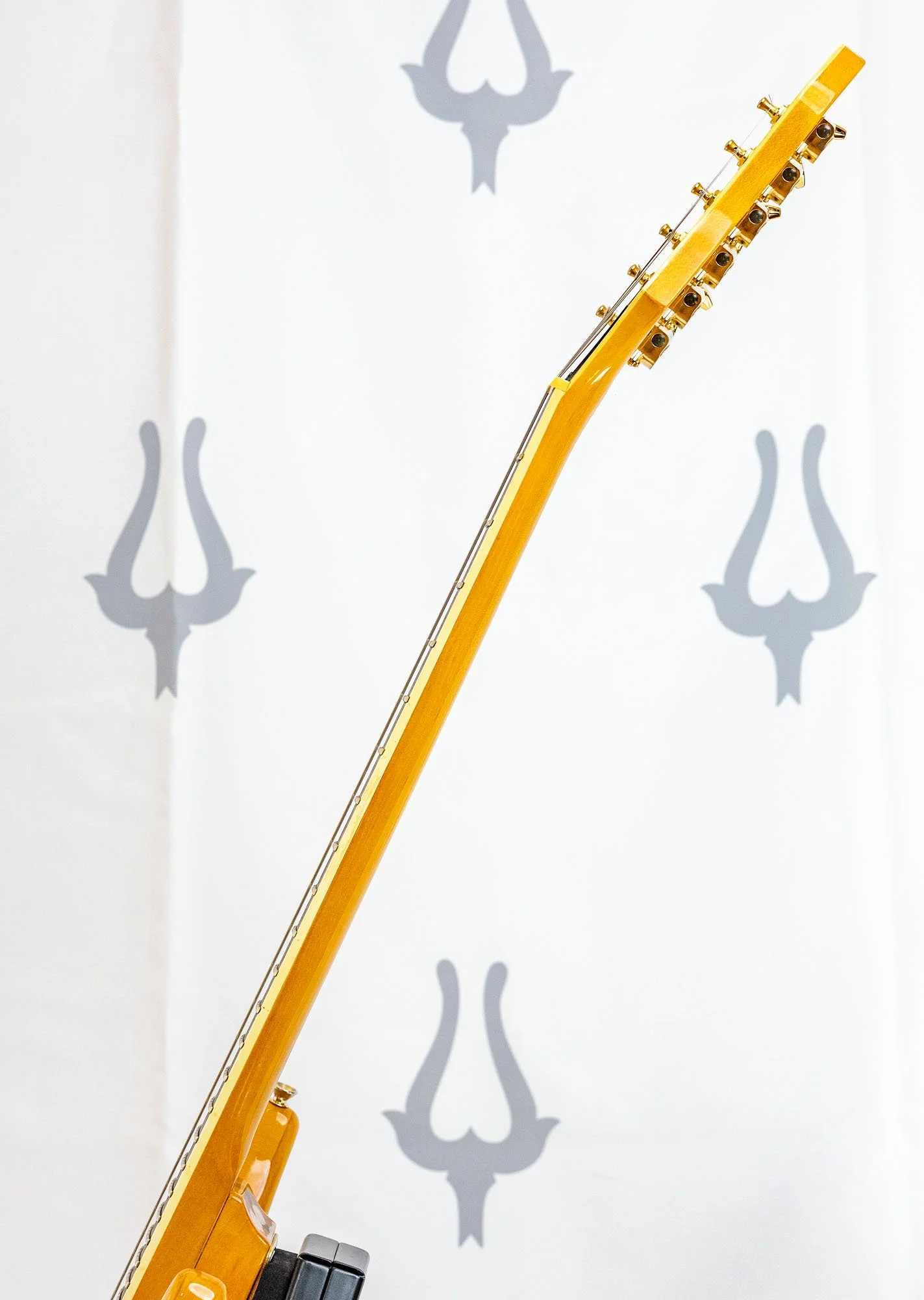 anea tan ssh lr-11.jpg