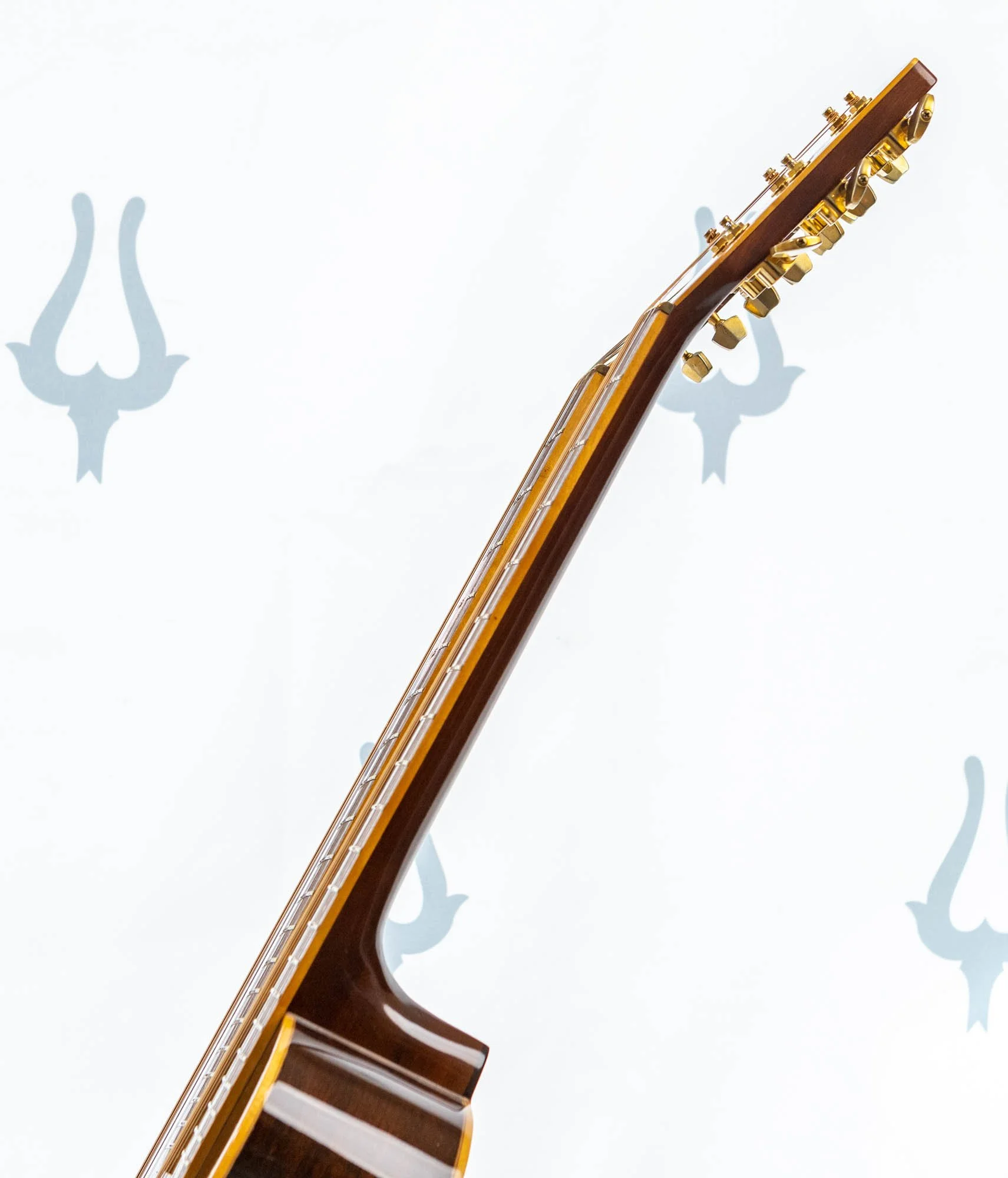 w80-1-lr-10.jpg
