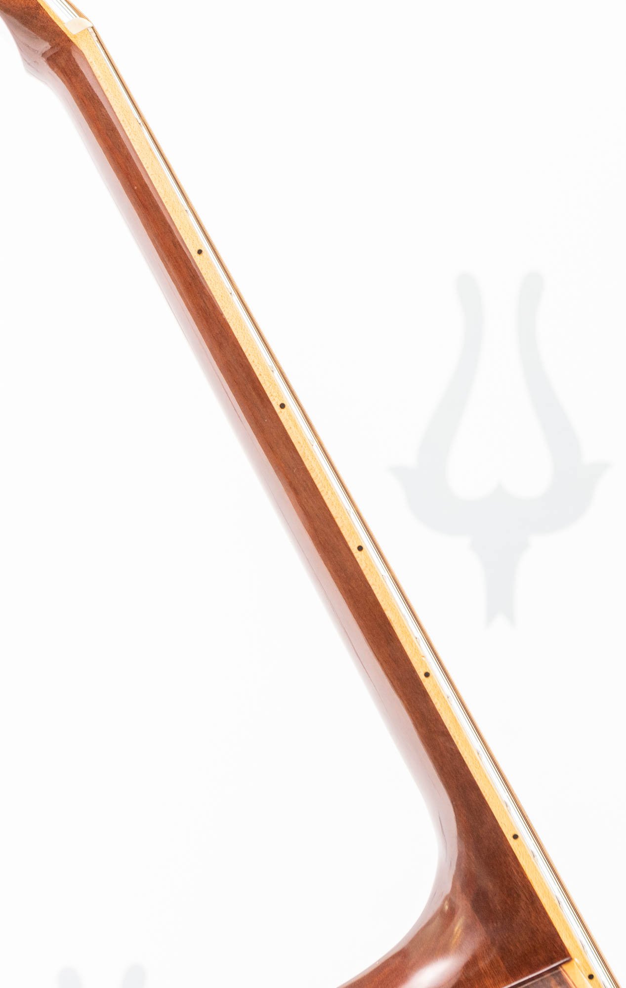 TN27-LR-12.jpg