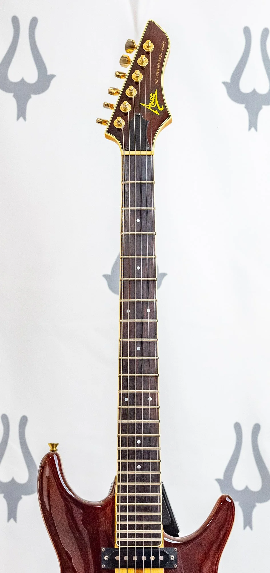 anea red ssh lr-2.jpg