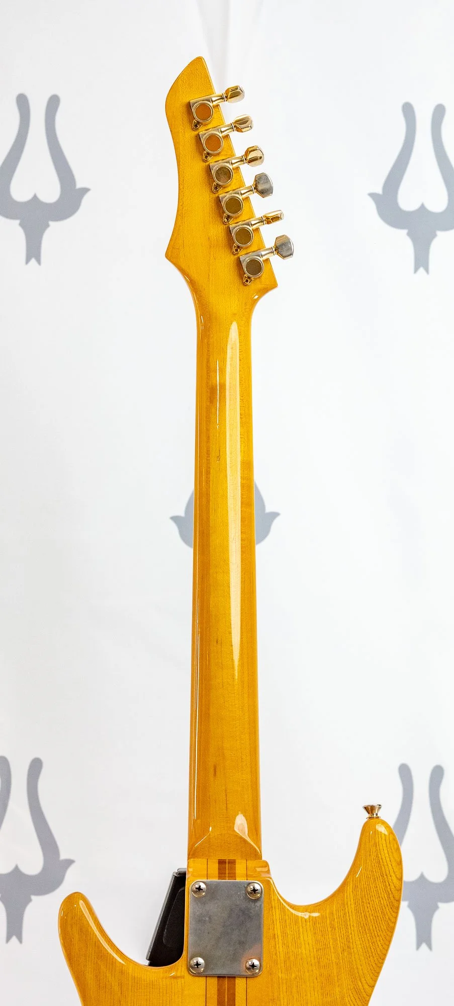 anea tan ssh lr-7.jpg