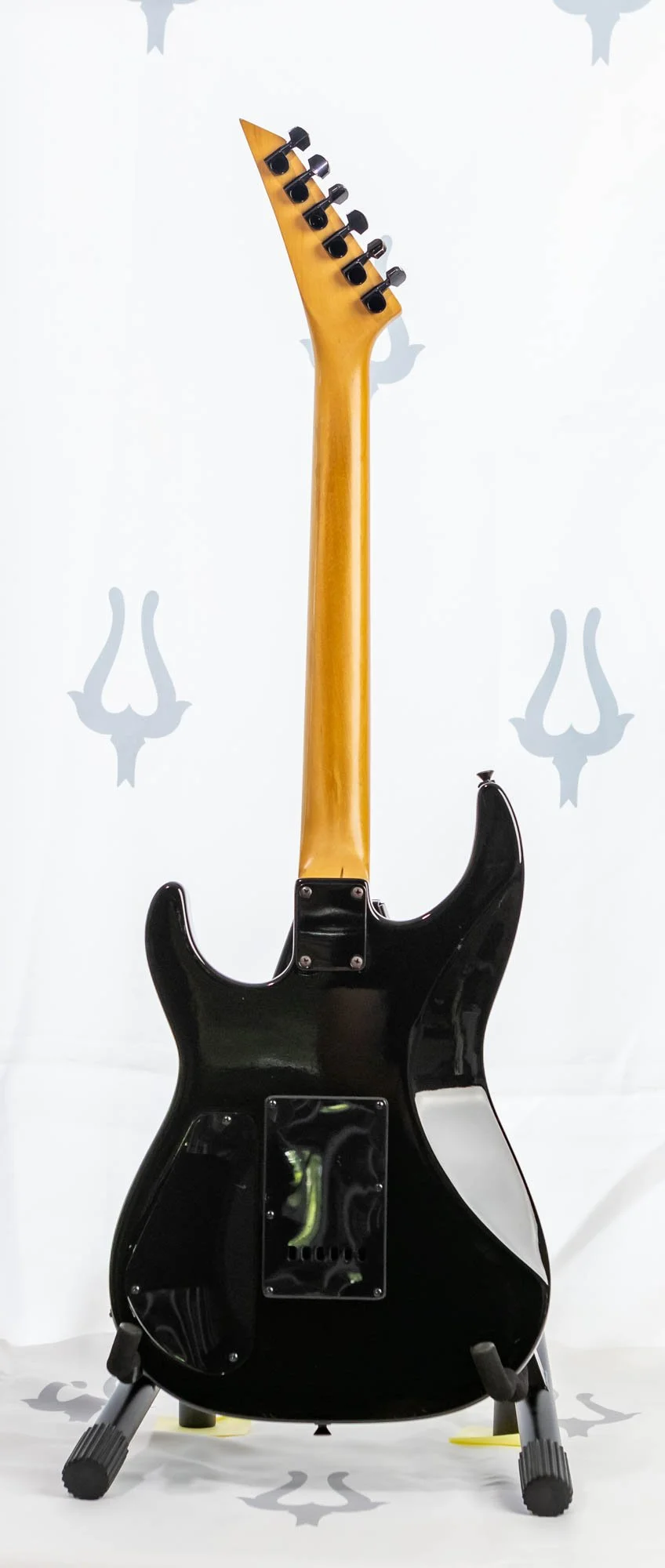hss-1-lr-5.jpg