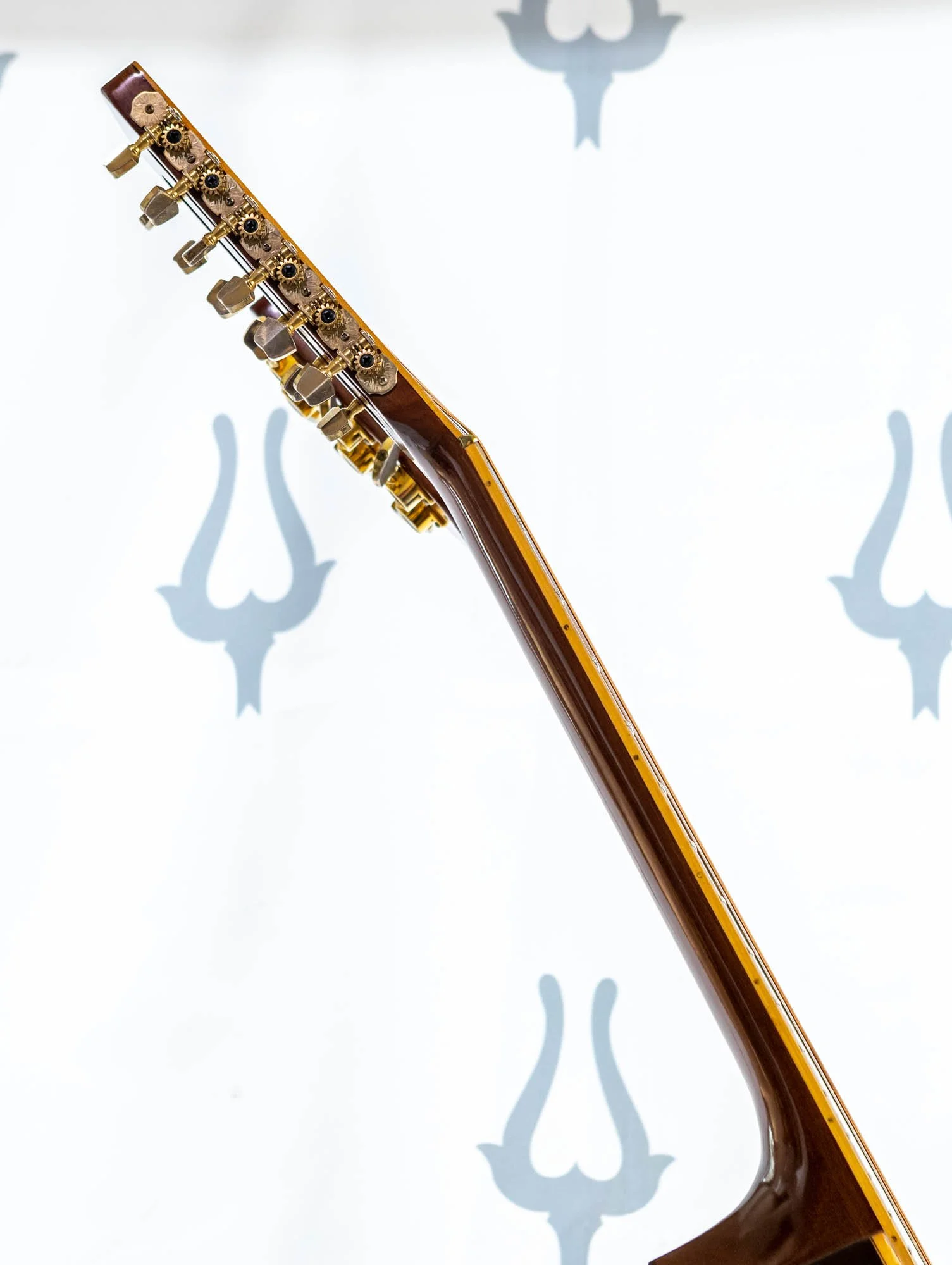 w80-3-lr-12.jpg