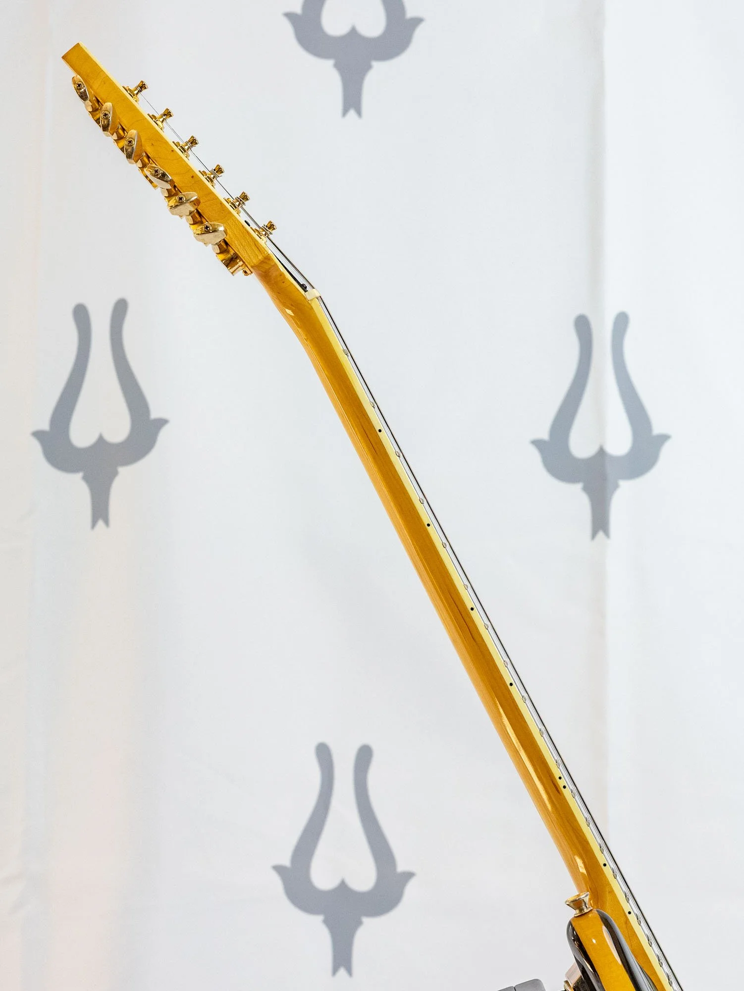 anea black 2h lr-12.jpg