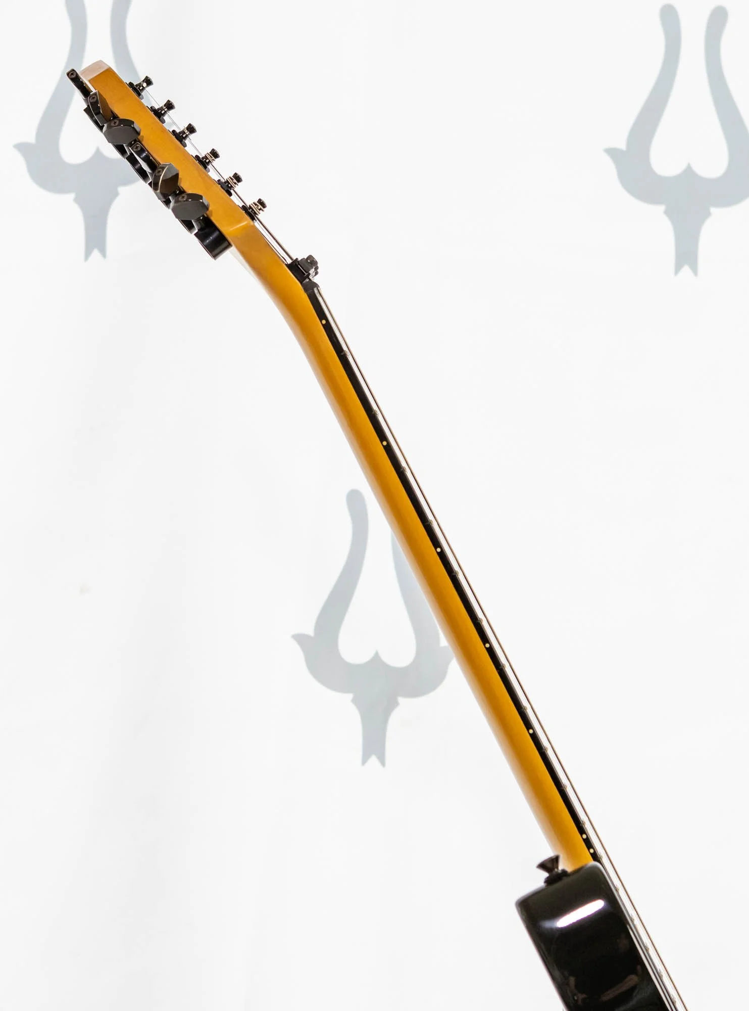 hss-1-lr-9.jpg