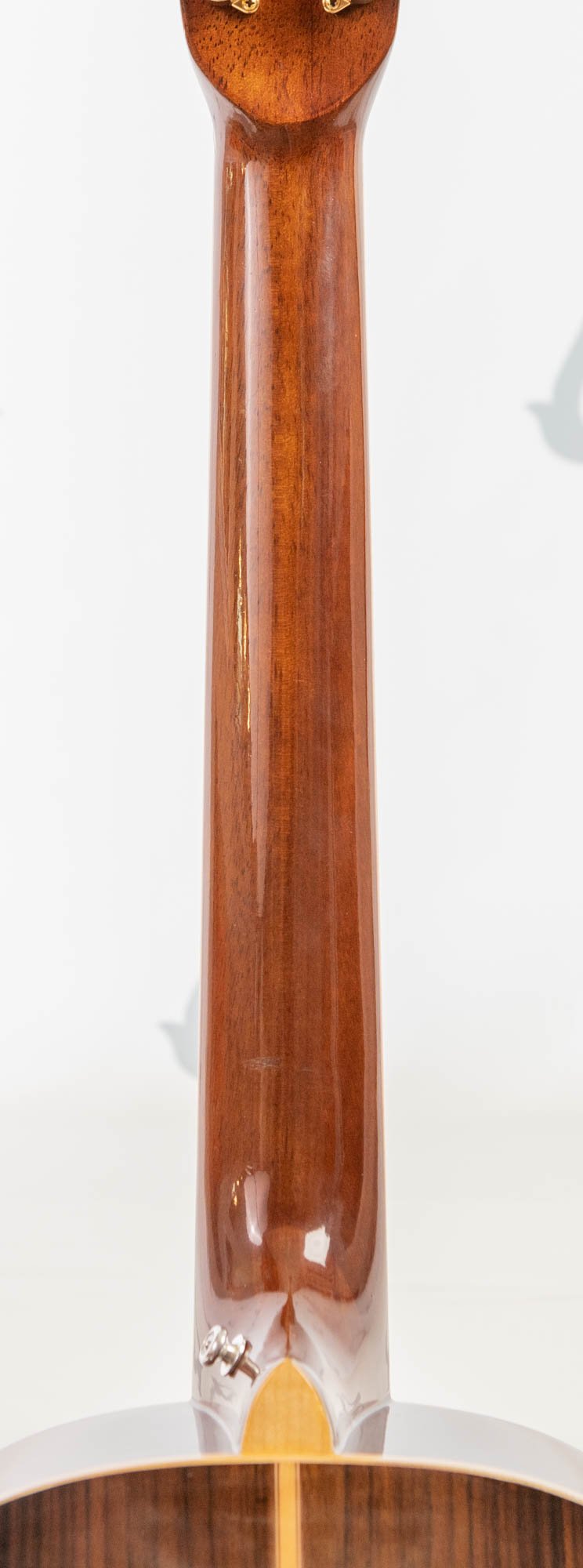 TN27-LR-9.jpg