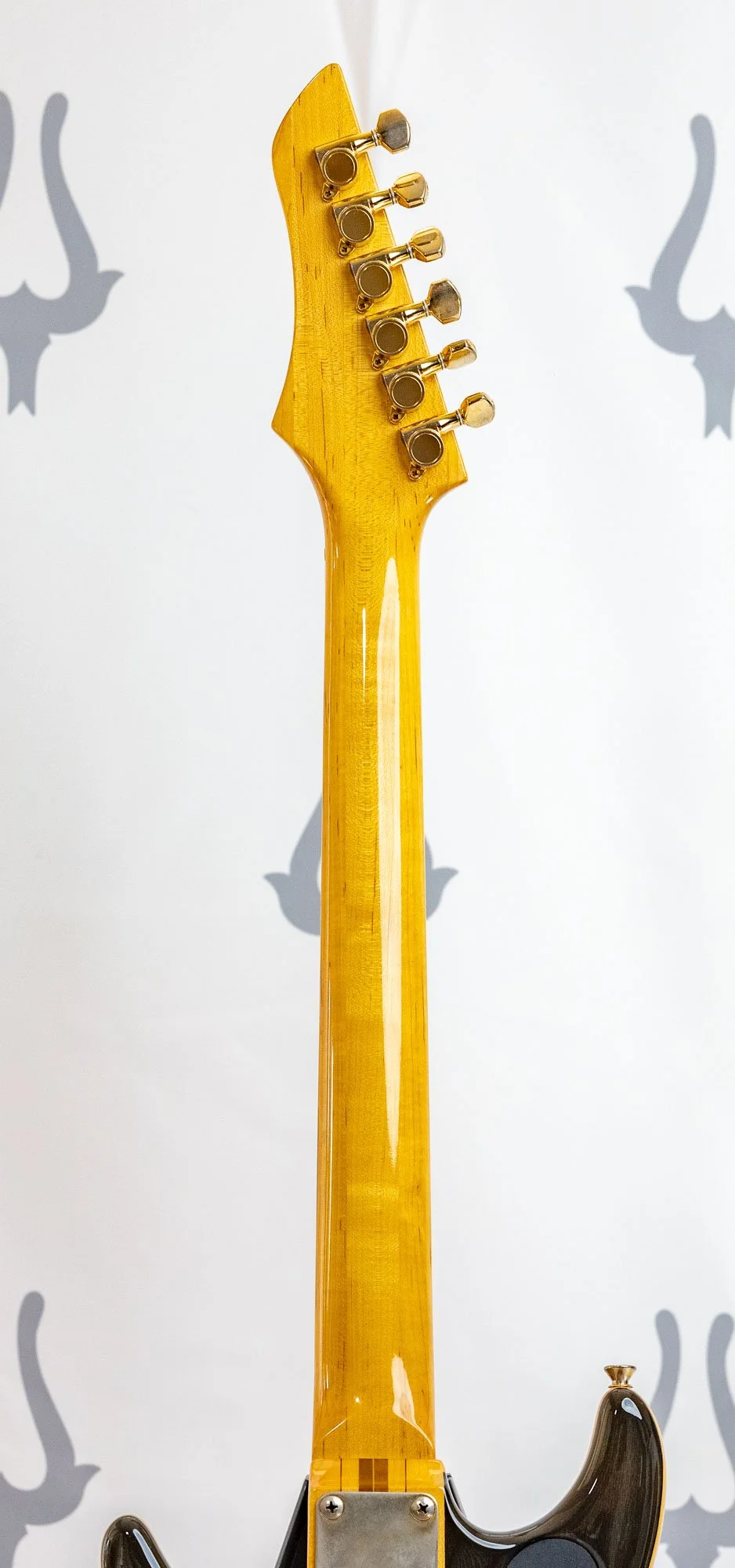 anea black 2h lr-7.jpg