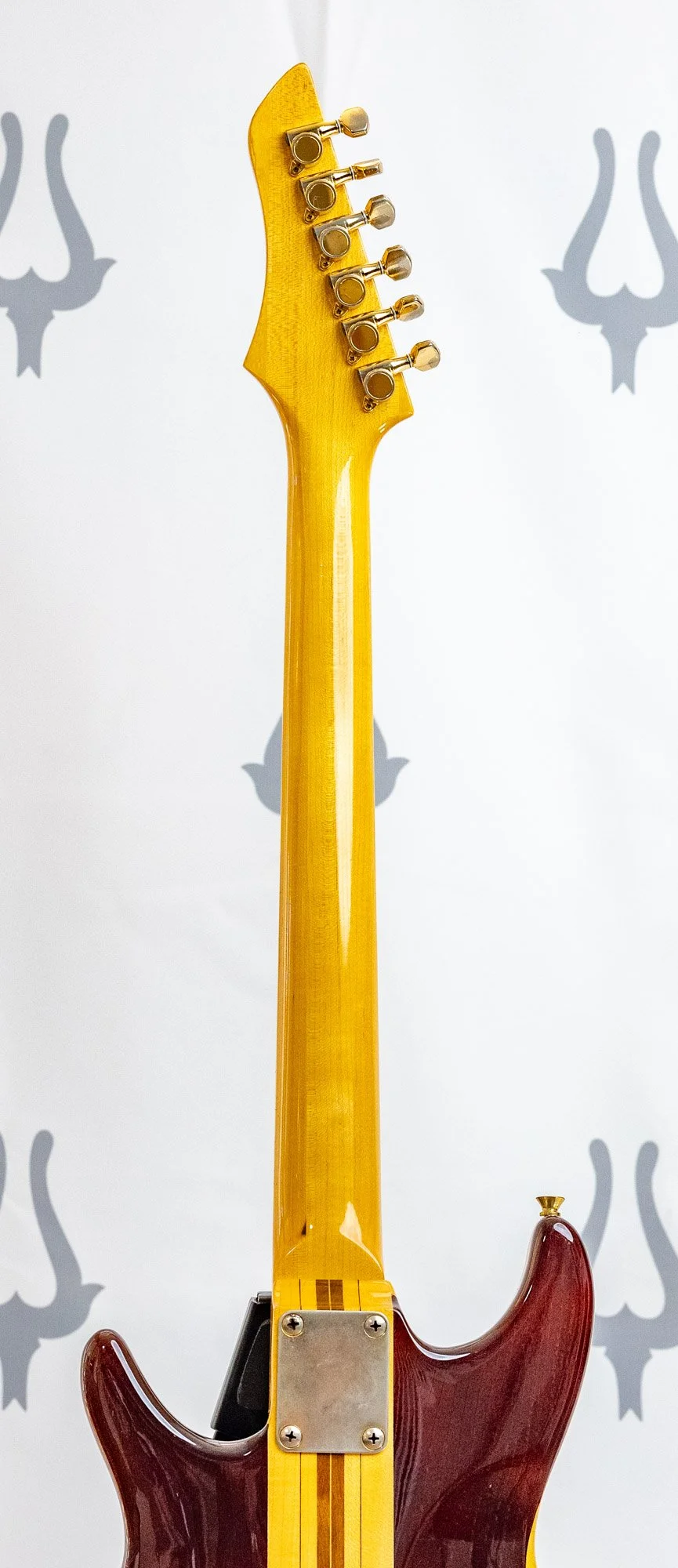 anea red ssh lr-6.jpg