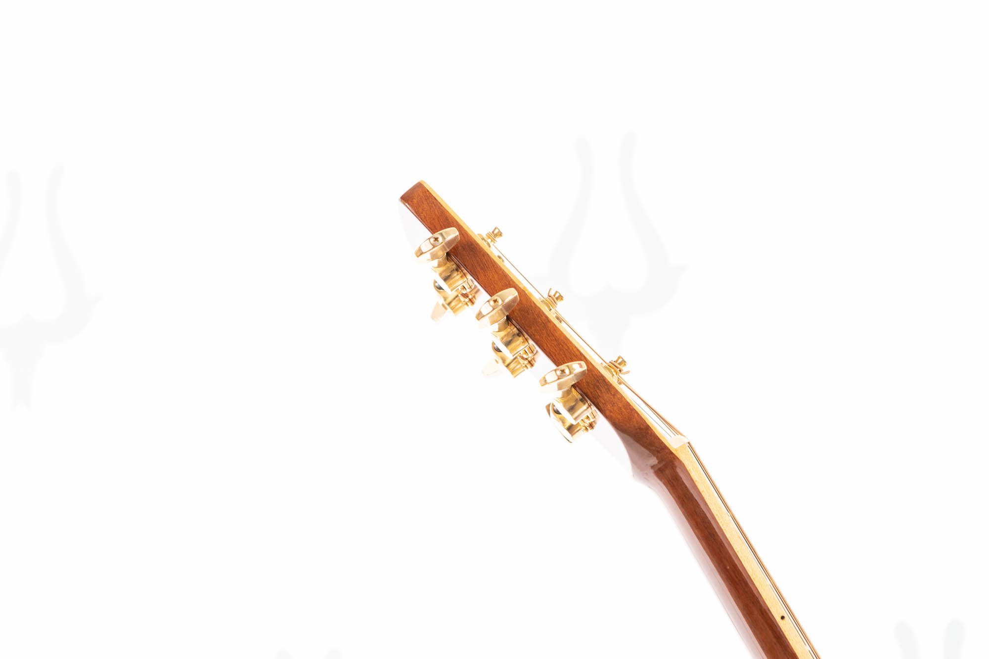 TN27-LR-14.jpg