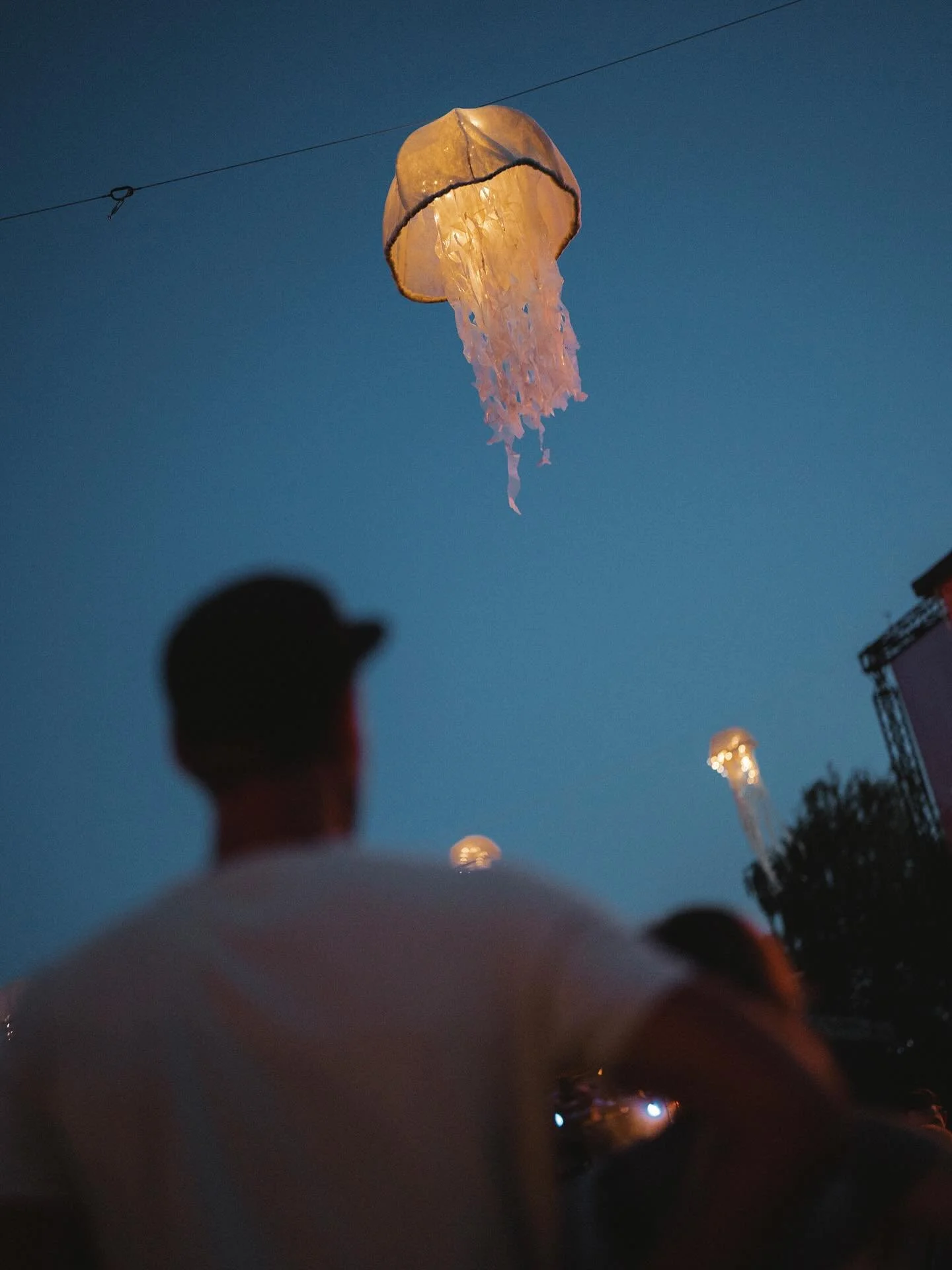 Die Quallen sind ja seit letztem Jahr zum Gl&uuml;ck nicht mehr allein und sie bewegen schon so langsam von ihrem Heimathafen Gie&szlig;en in ihr neues Biotop K&ouml;ln! 
Am 30.08. dann in voller Pracht im Tanzbrunnen in ihrer vollen Pracht zu bewund